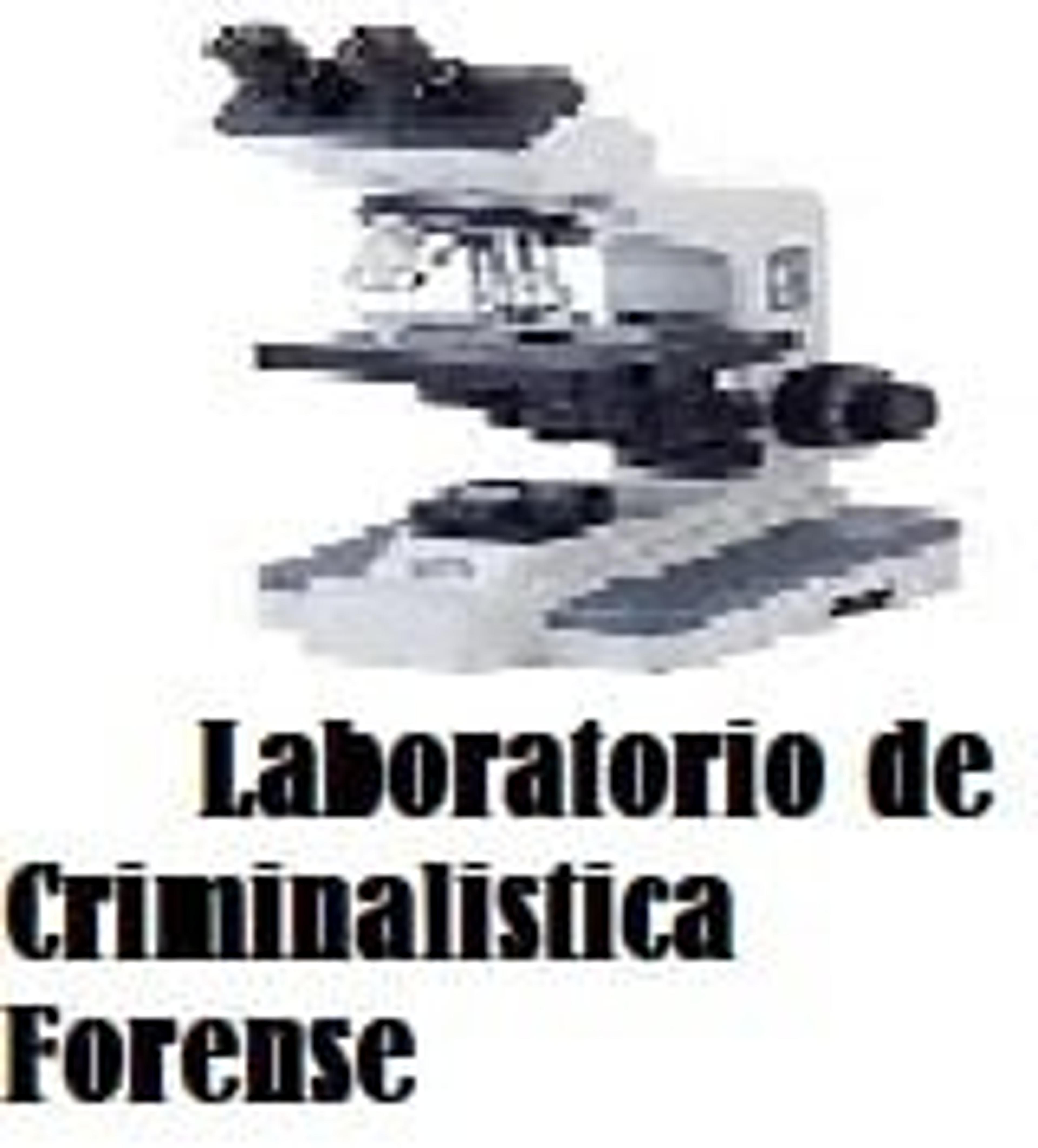 002213e0-4445-4be7-885a-452c65d6c6d2.jpeg
