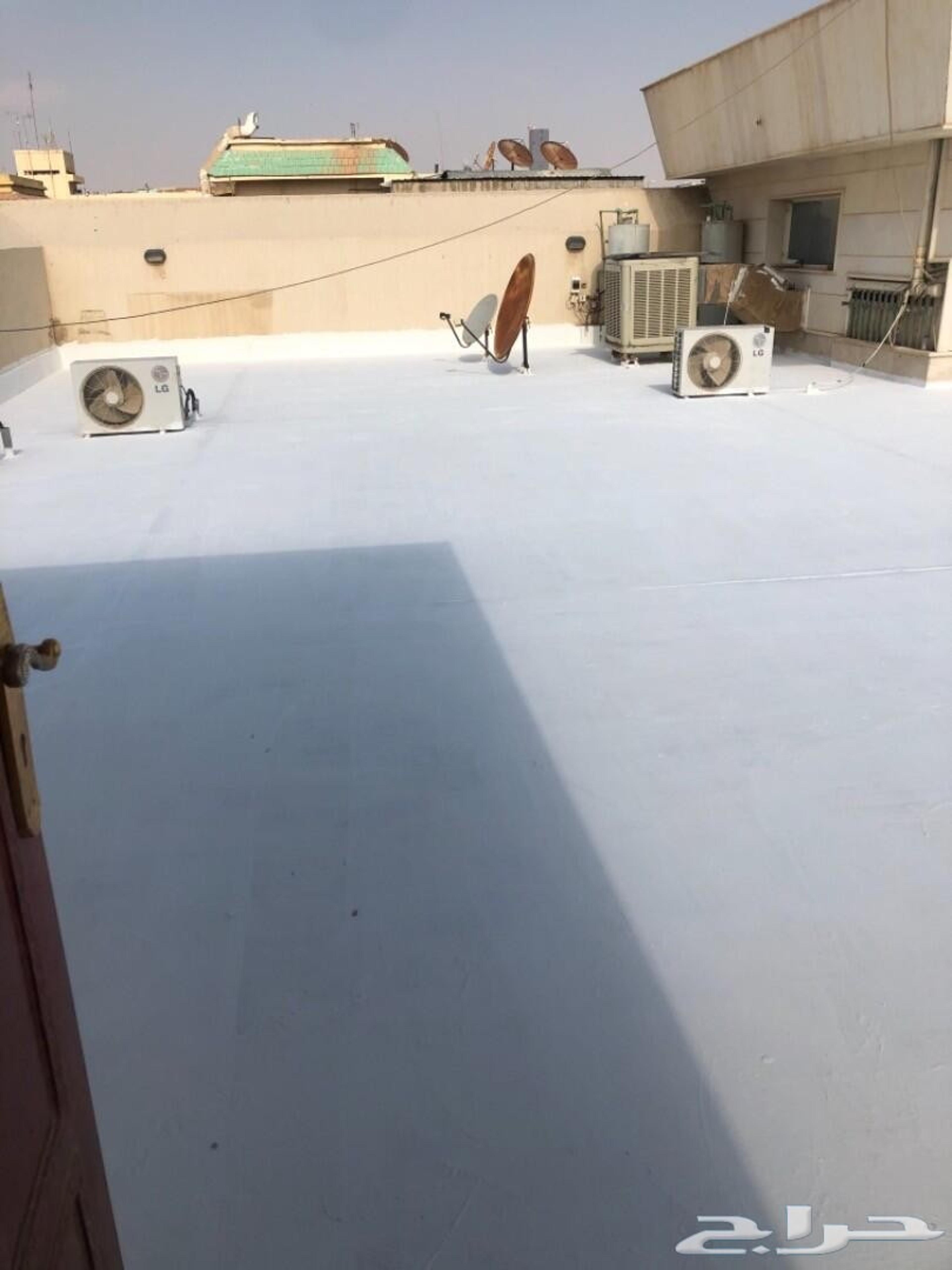 008b057c-01fa-4913-af83-244e748f4754.jpeg