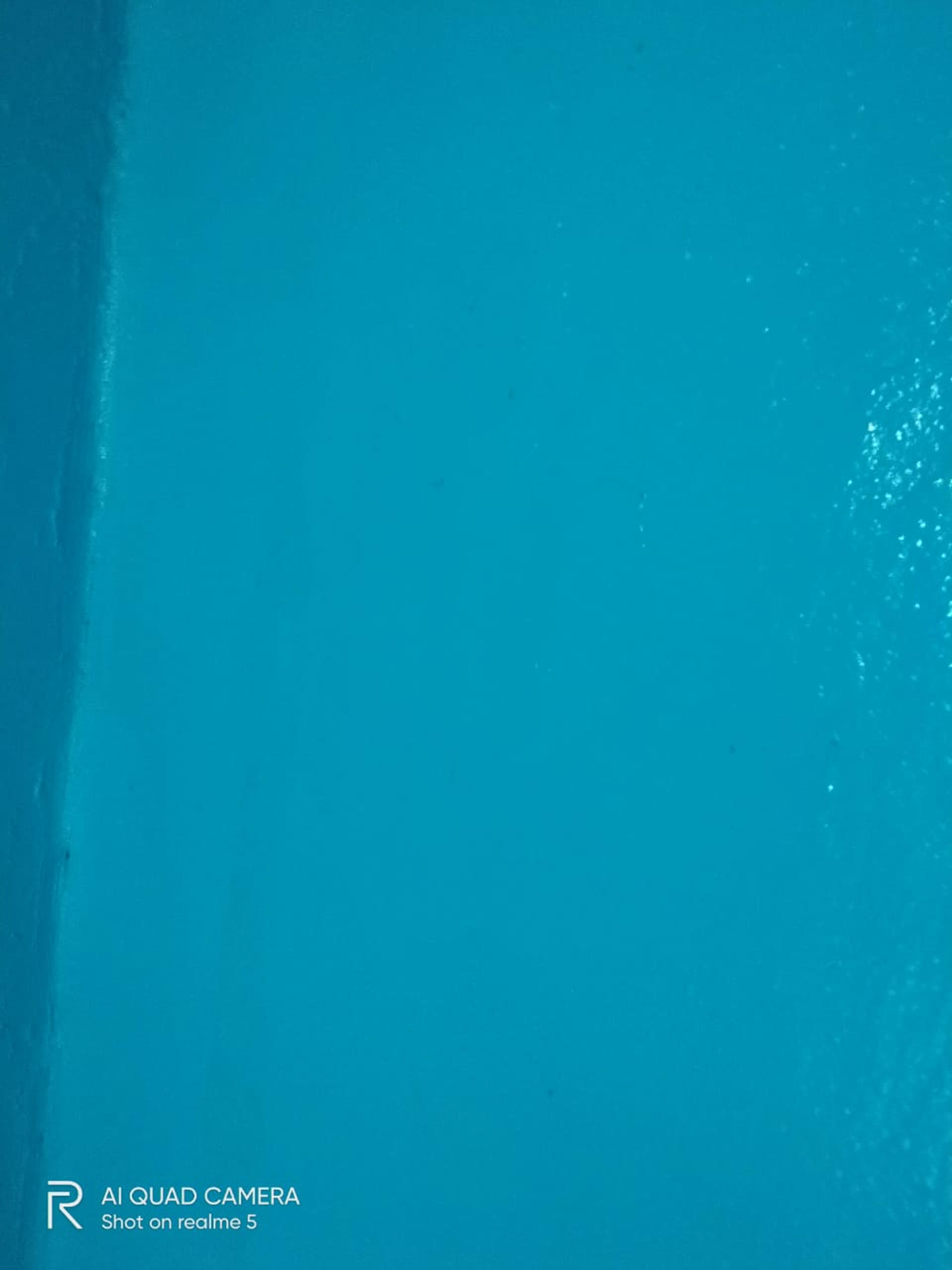 00a5e96f-be1d-4e8d-a2f6-7a0d2d0903f5.jpeg