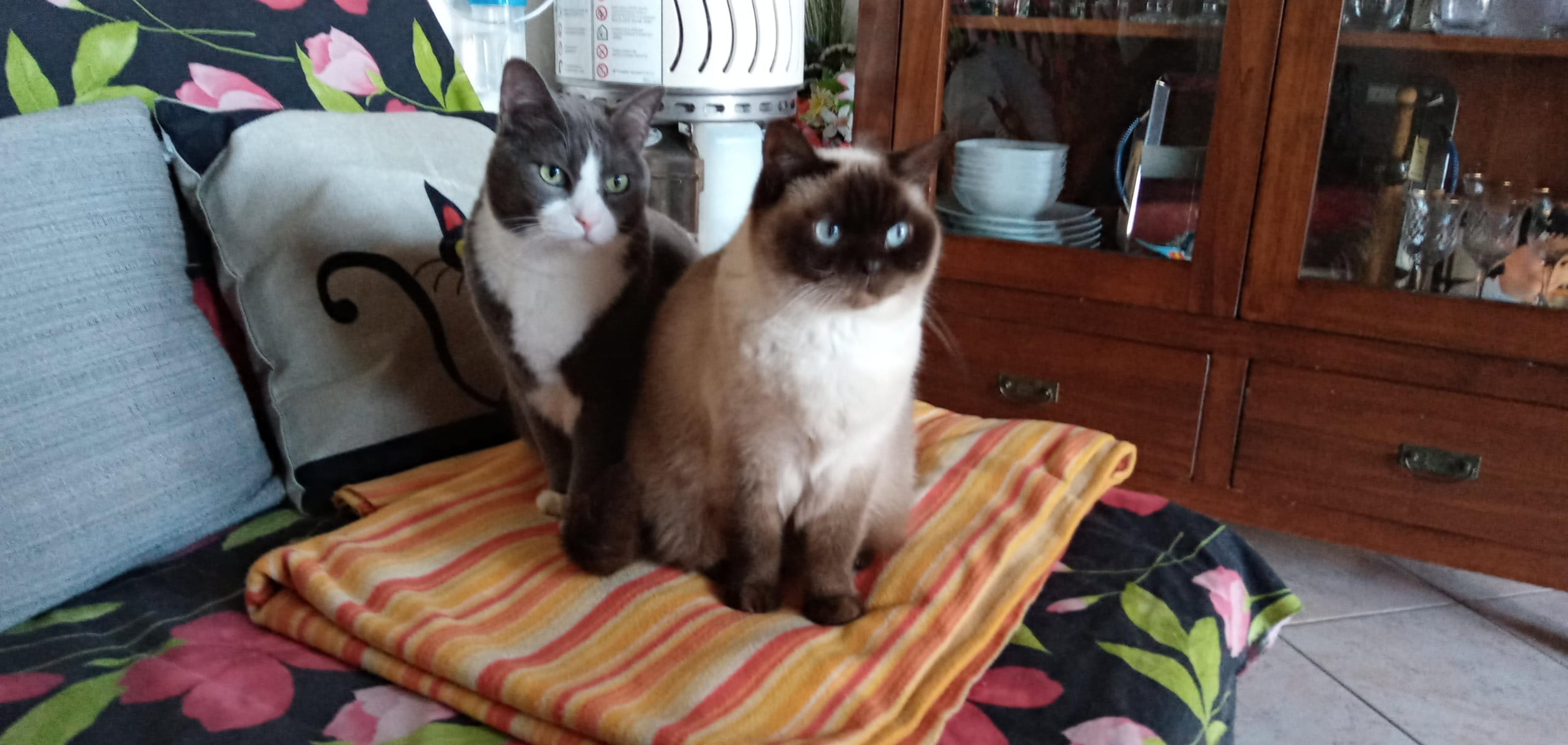 0113a01e-558b-4fa0-b633-4fa978e65767.jpeg