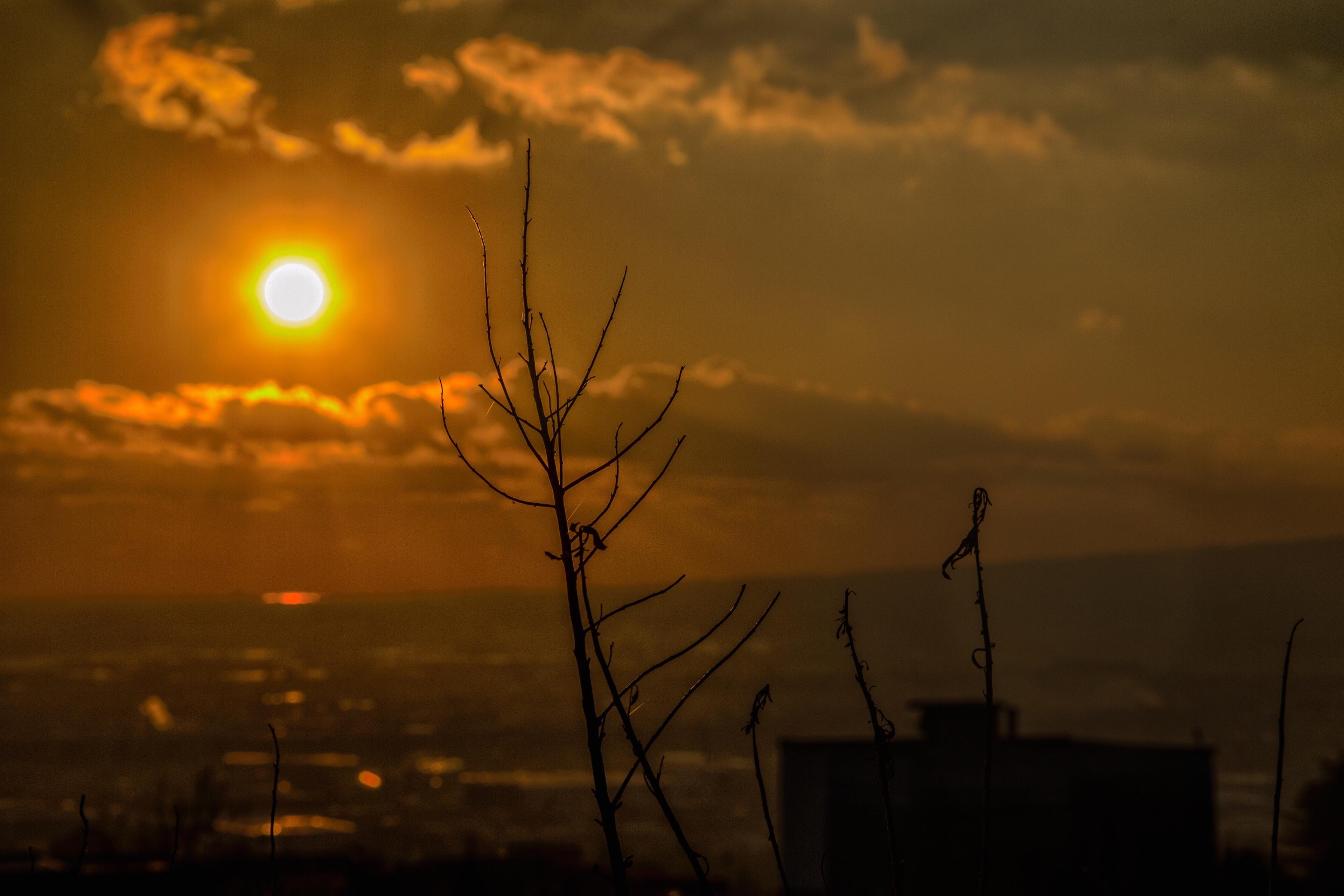 0114fc75-75d8-47b4-be9c-a77b7075484e.jpeg