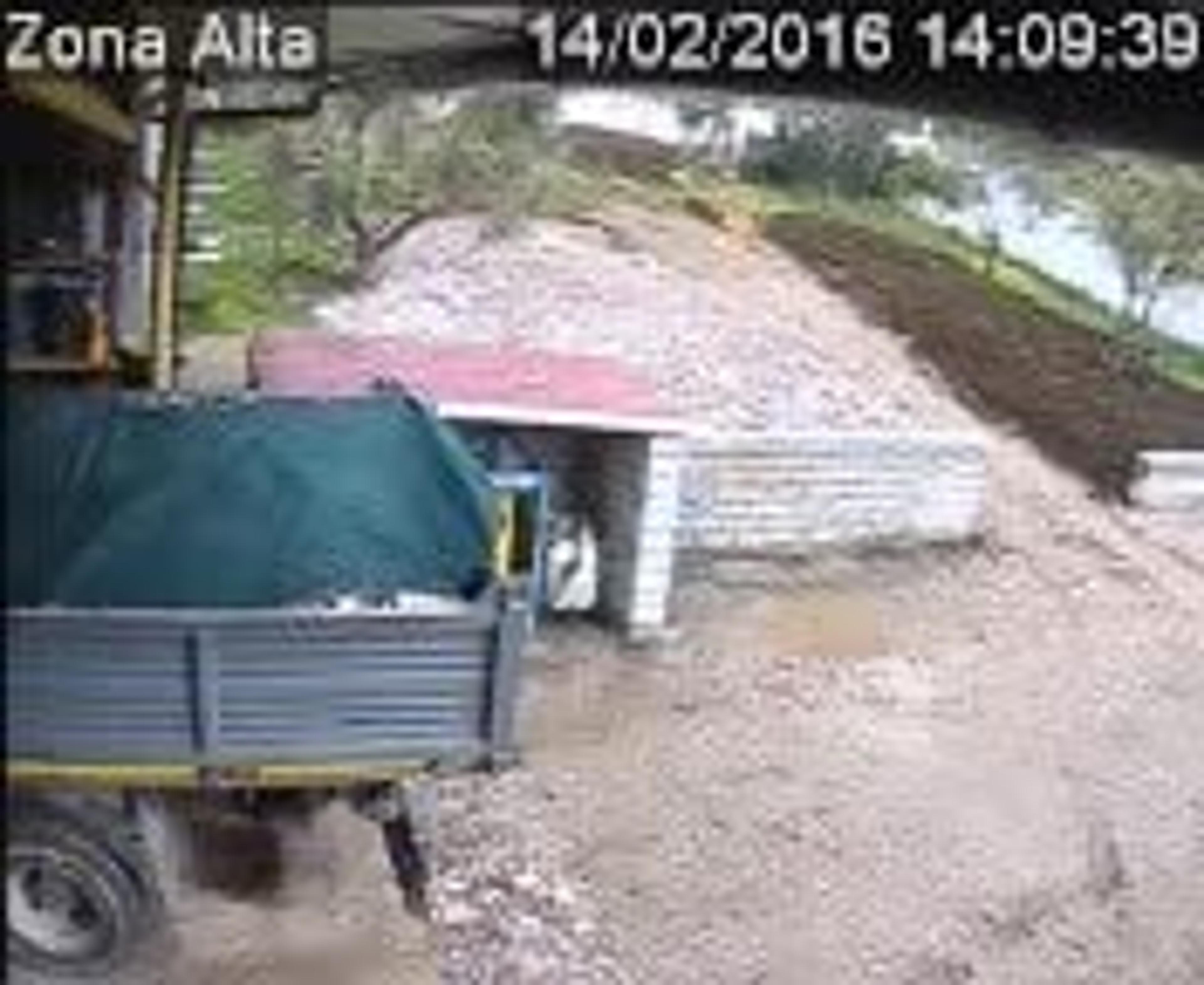 01f3d713-6ada-4481-b0bb-86d1ef3401d2.jpg