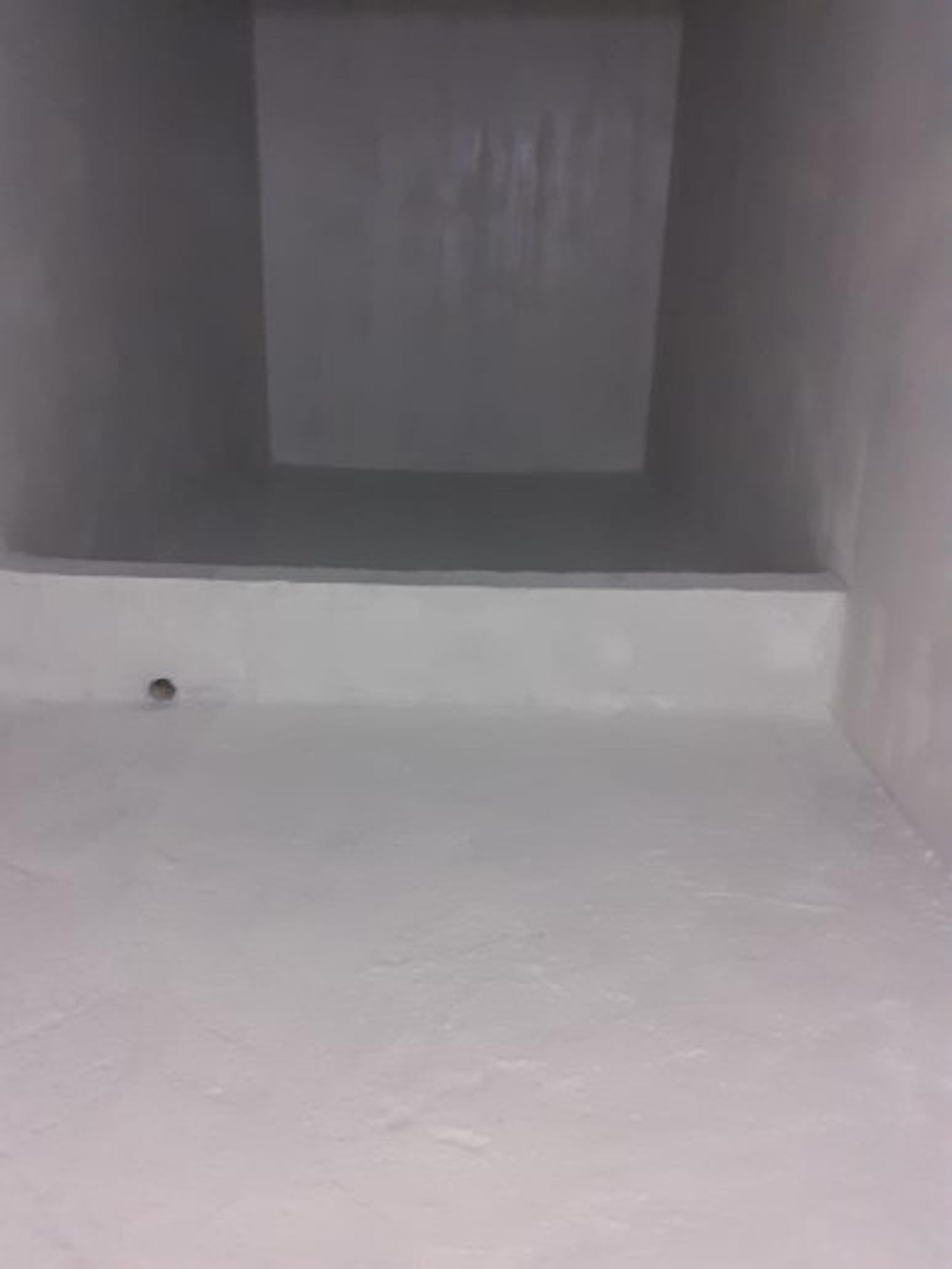 0230c0b4-56d9-412d-926e-81ab96e10418.jpeg