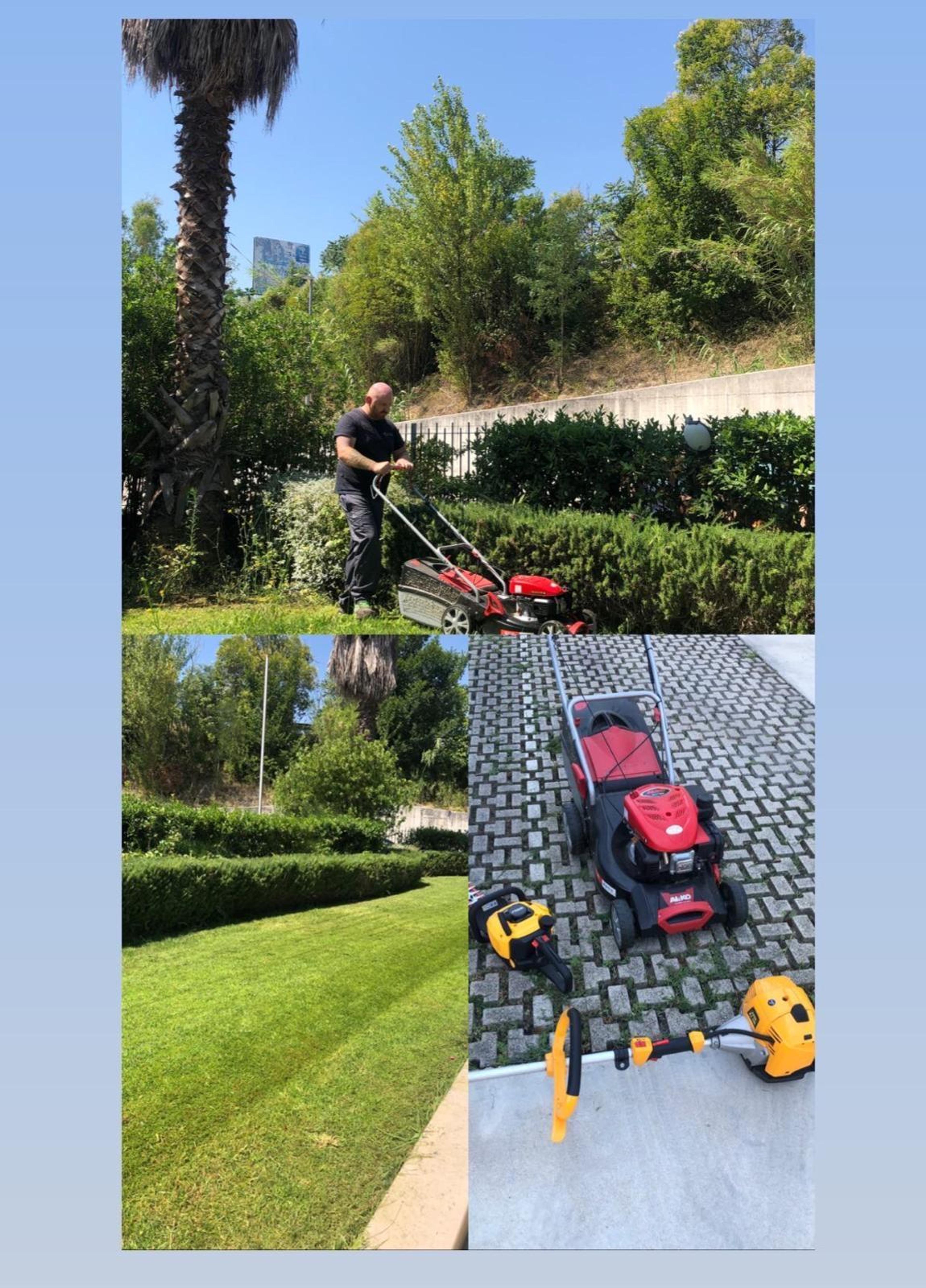 0376b0aa-aaf8-4299-9b5e-eccab386d5f5.jpeg