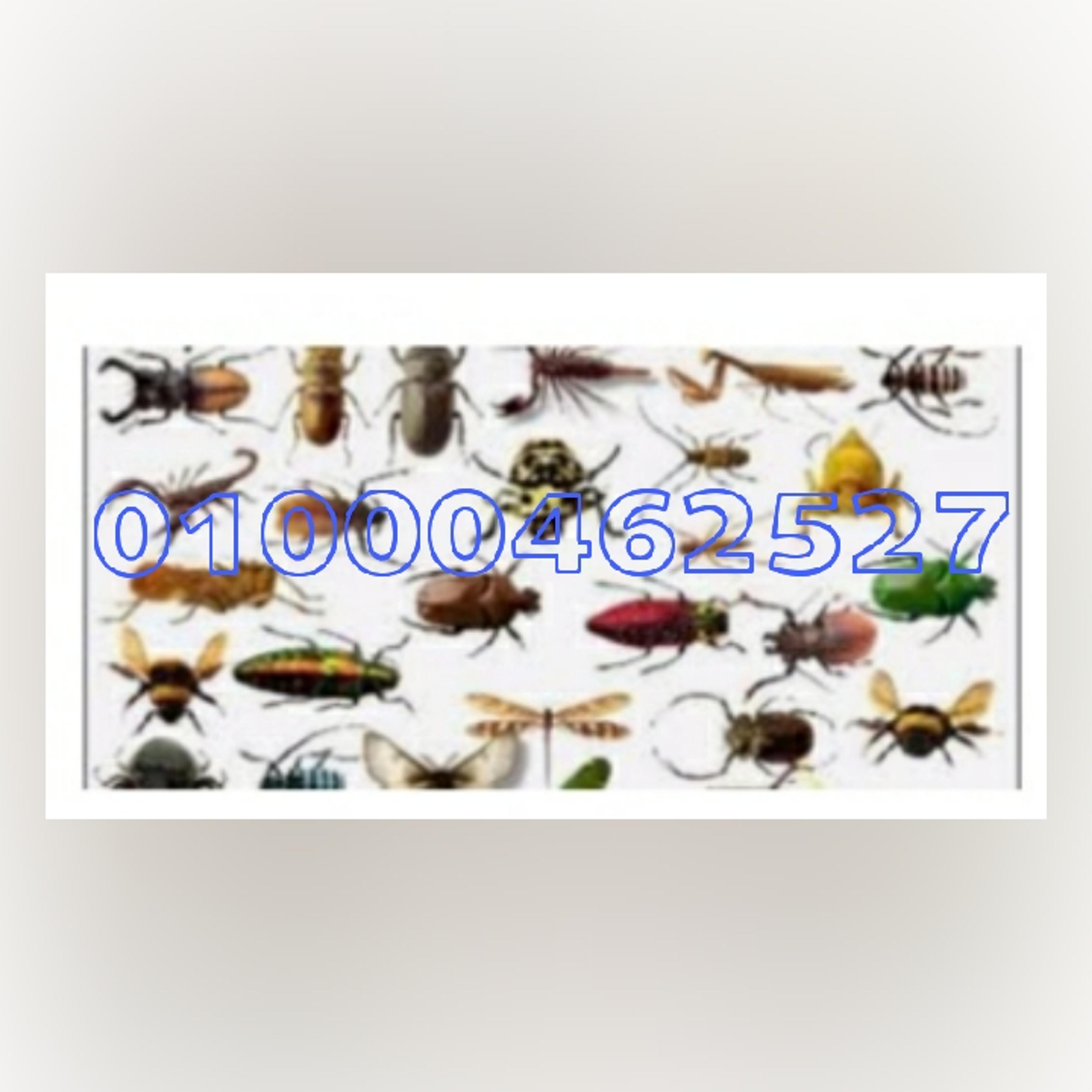 03d5249a-203e-47cd-9a08-9a323dd80e5f.jpg
