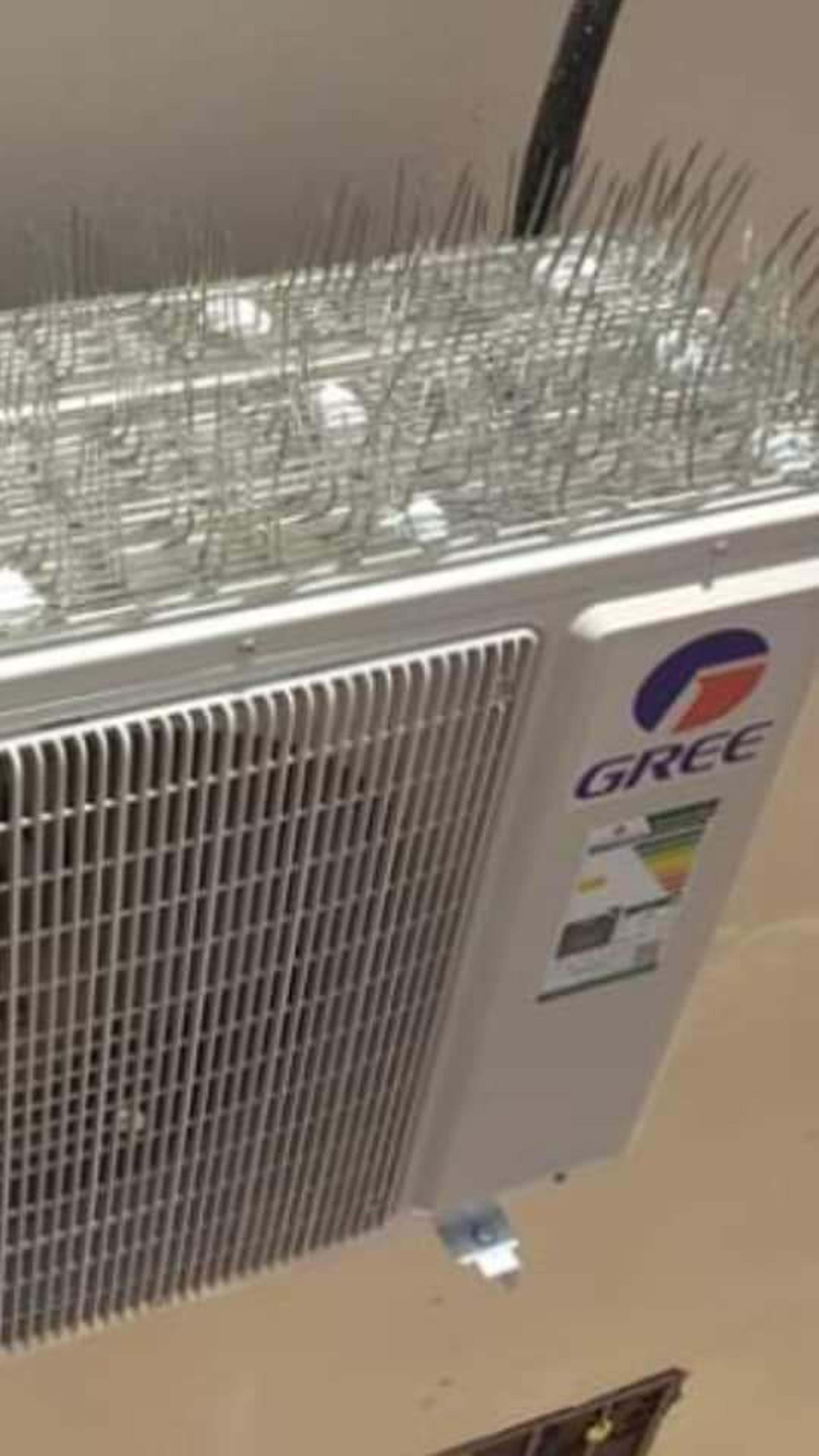 047adcfe-2248-4577-8a22-4ef6534338c7.jpeg