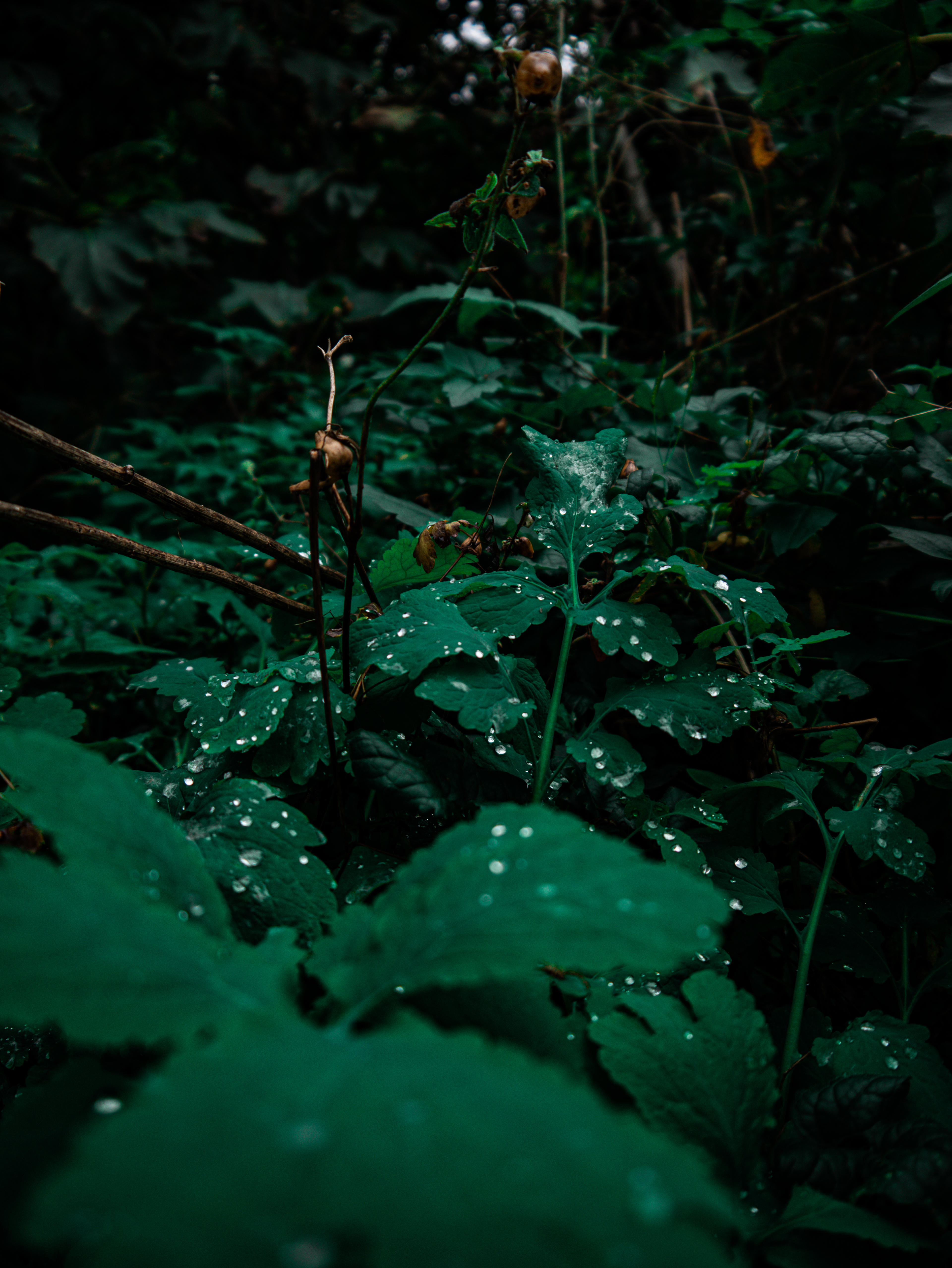 04d33762-a287-4fd2-8fb0-c250ccb91ac9.jpeg