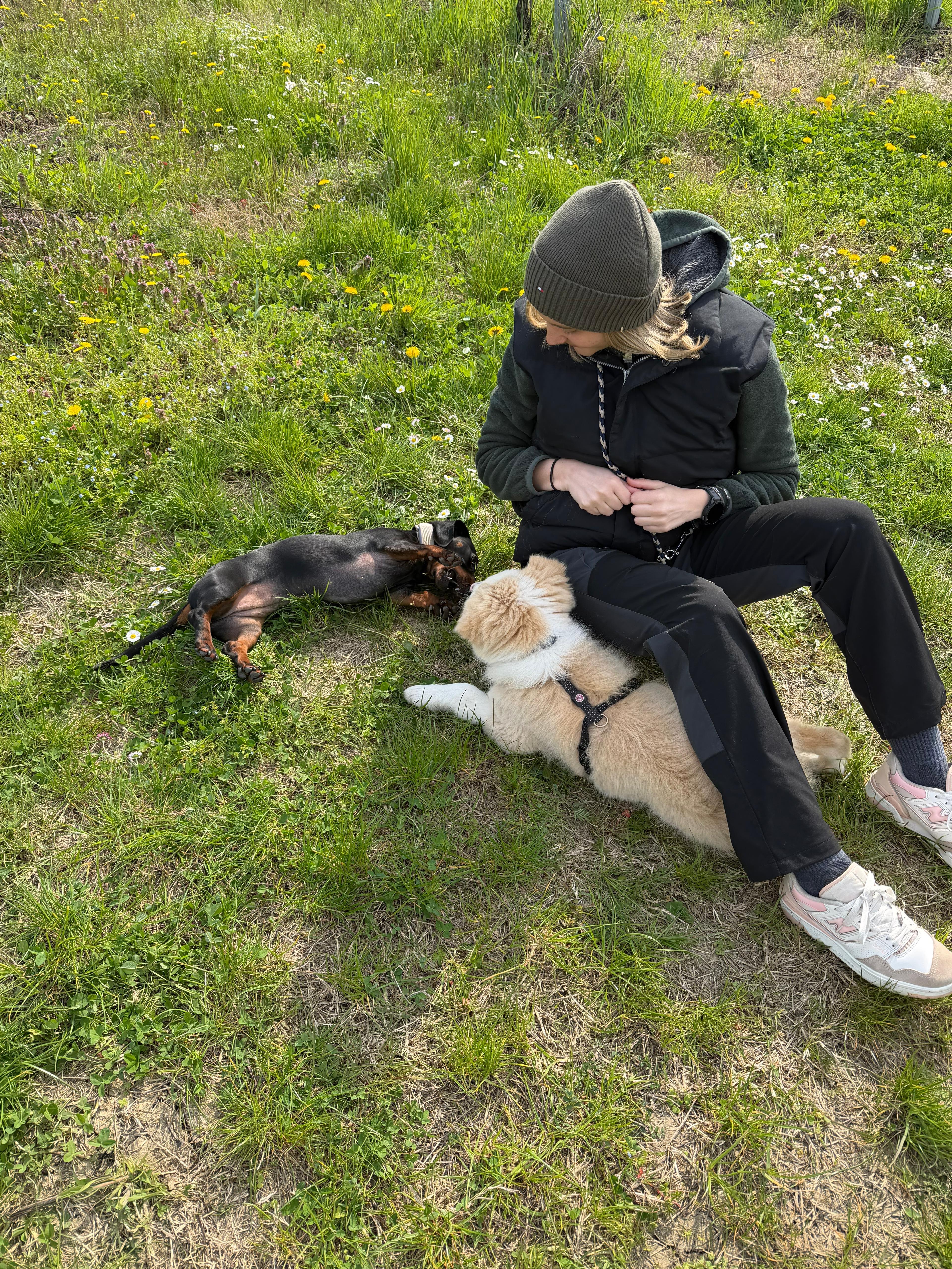 05460966-623c-43cf-af57-f0b9738dae35.jpeg
