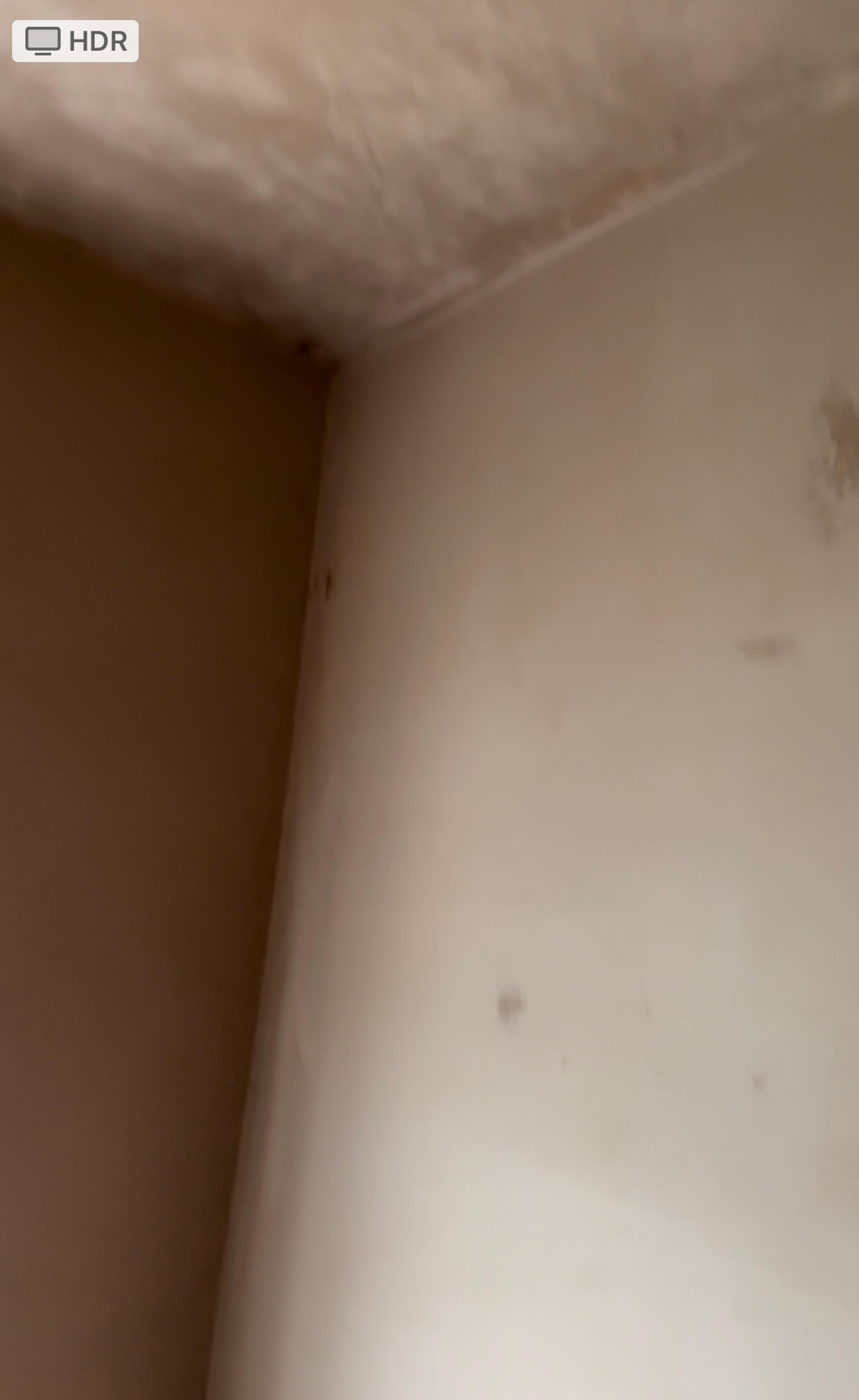 0568b73e-c7bb-4d8f-b6ea-efa9b454ec1e.jpeg