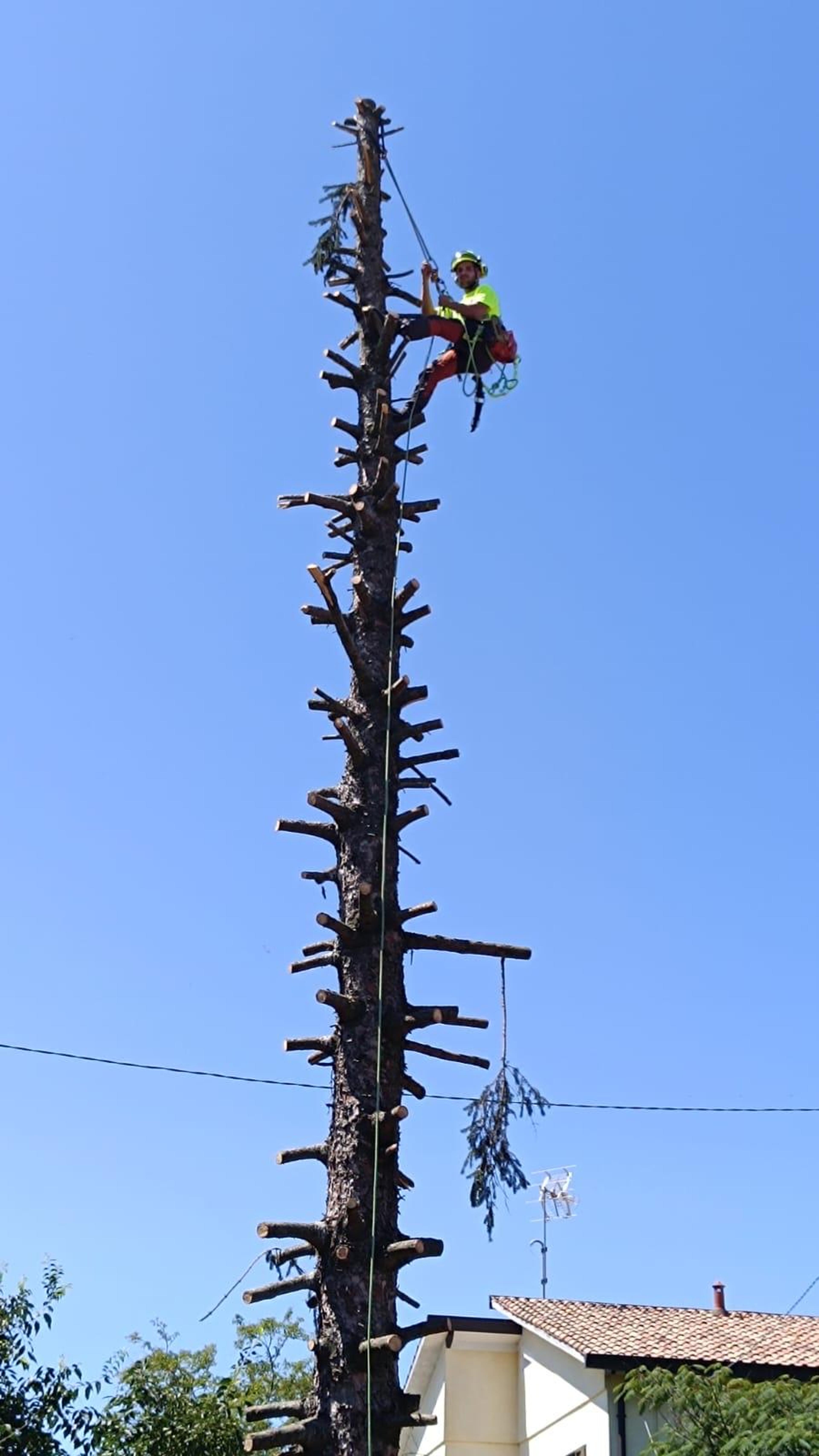 059b880e-c430-4c05-8850-5e4e7bc190ca.jpeg