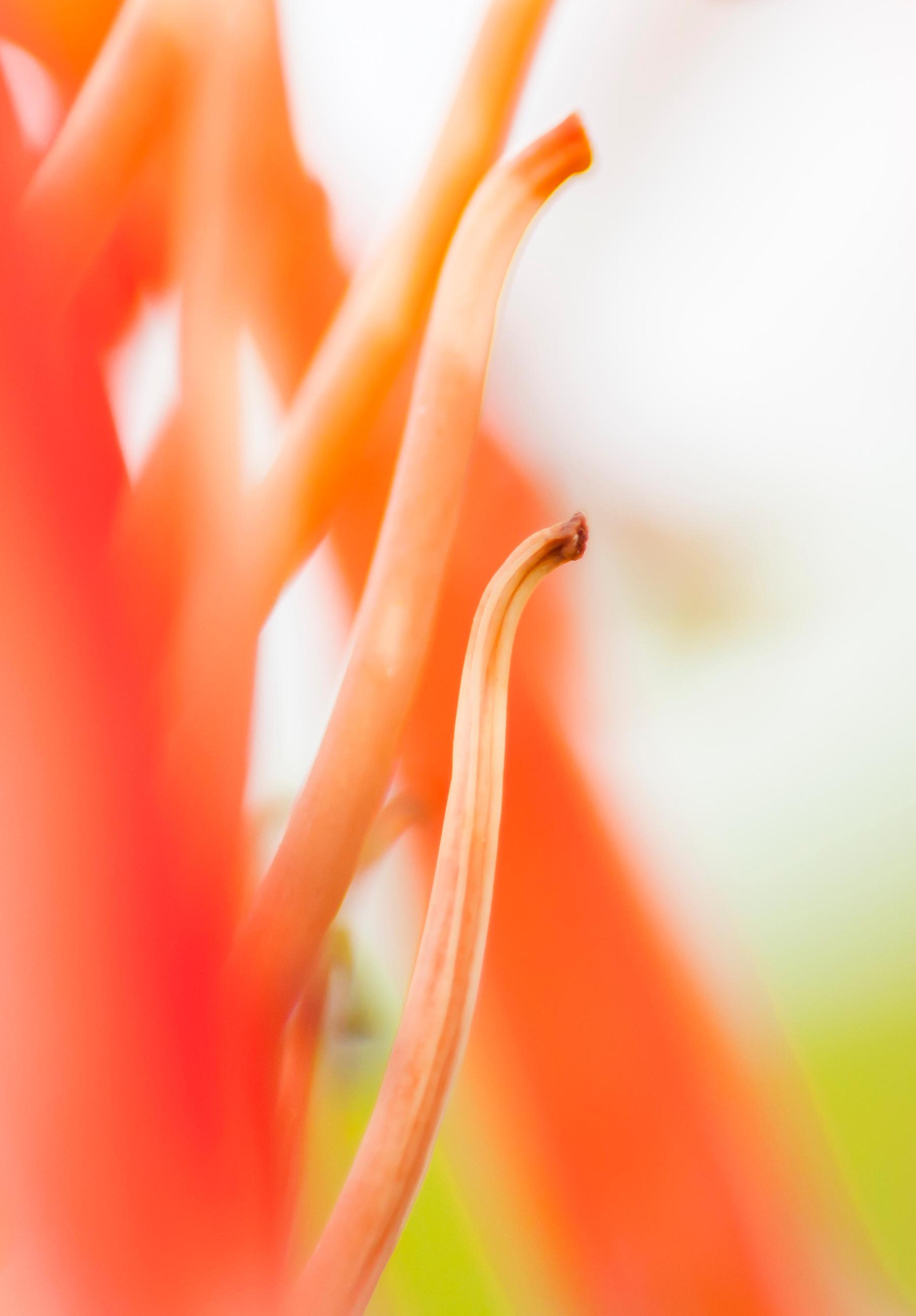05dd218b-97b3-4684-b7e4-eaa64e23fdb2.jpeg