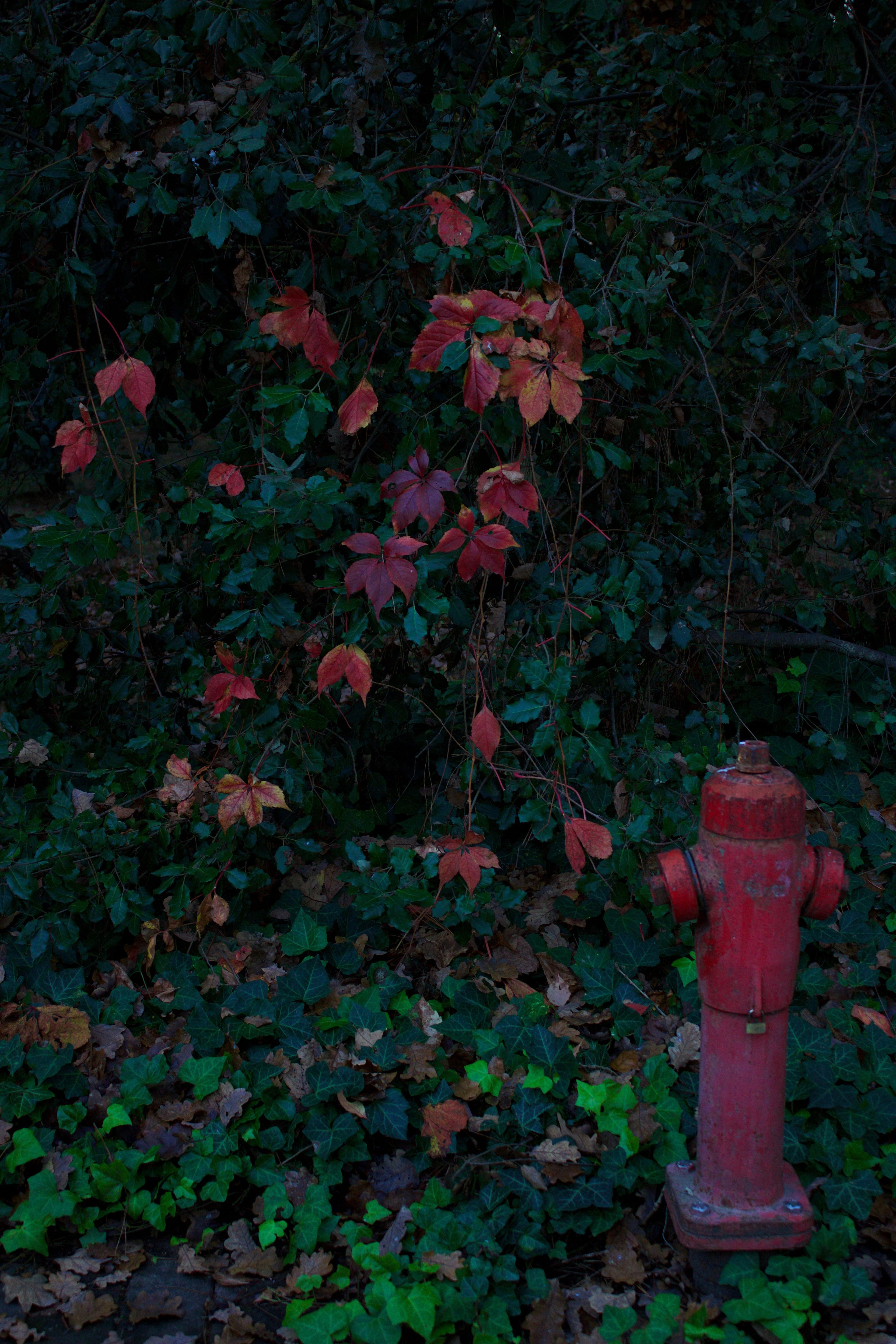 062738a9-3bc4-490d-9ecb-3d61f3e7faa3.jpeg