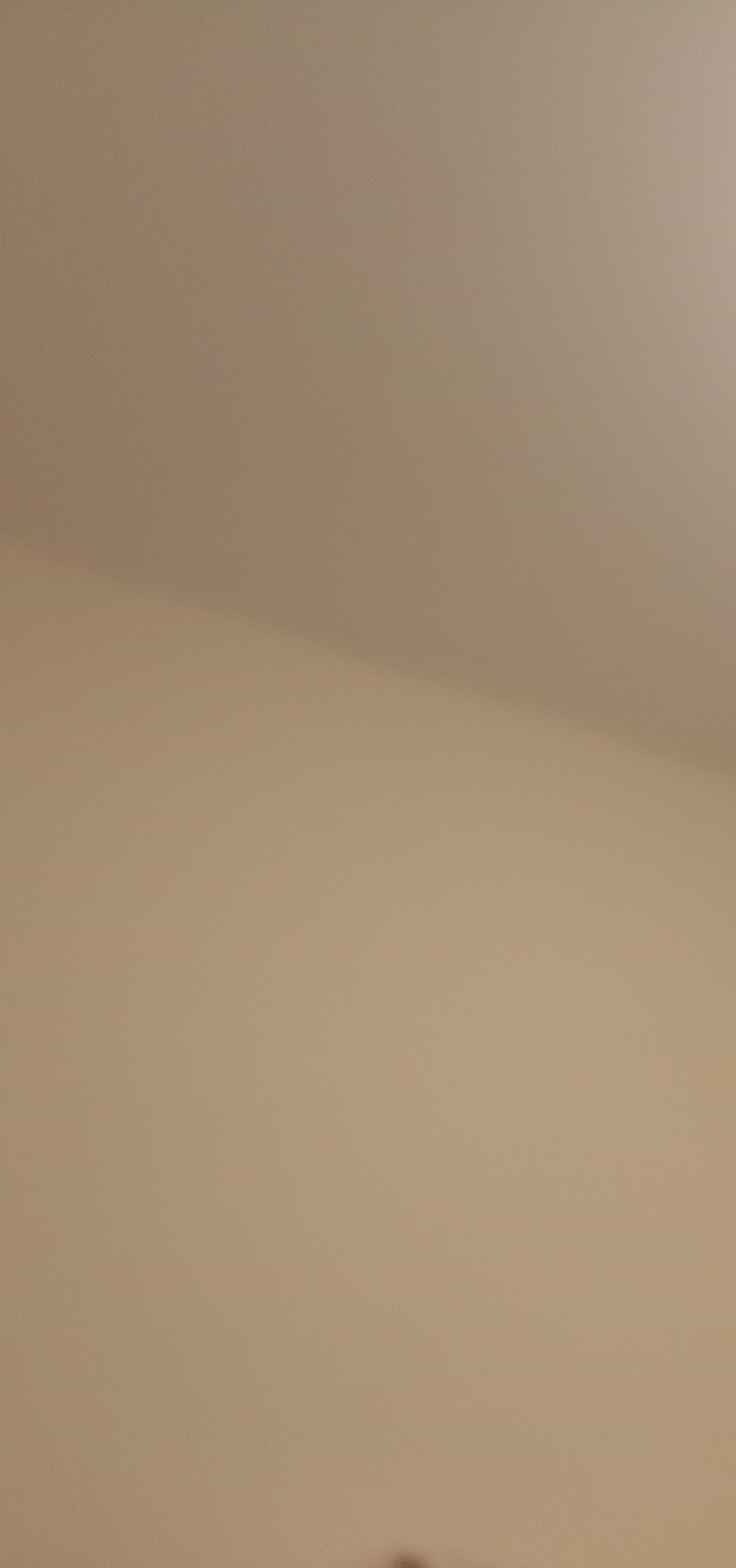 06333d96-3816-454c-84ee-b4a66b5bcb37.jpeg
