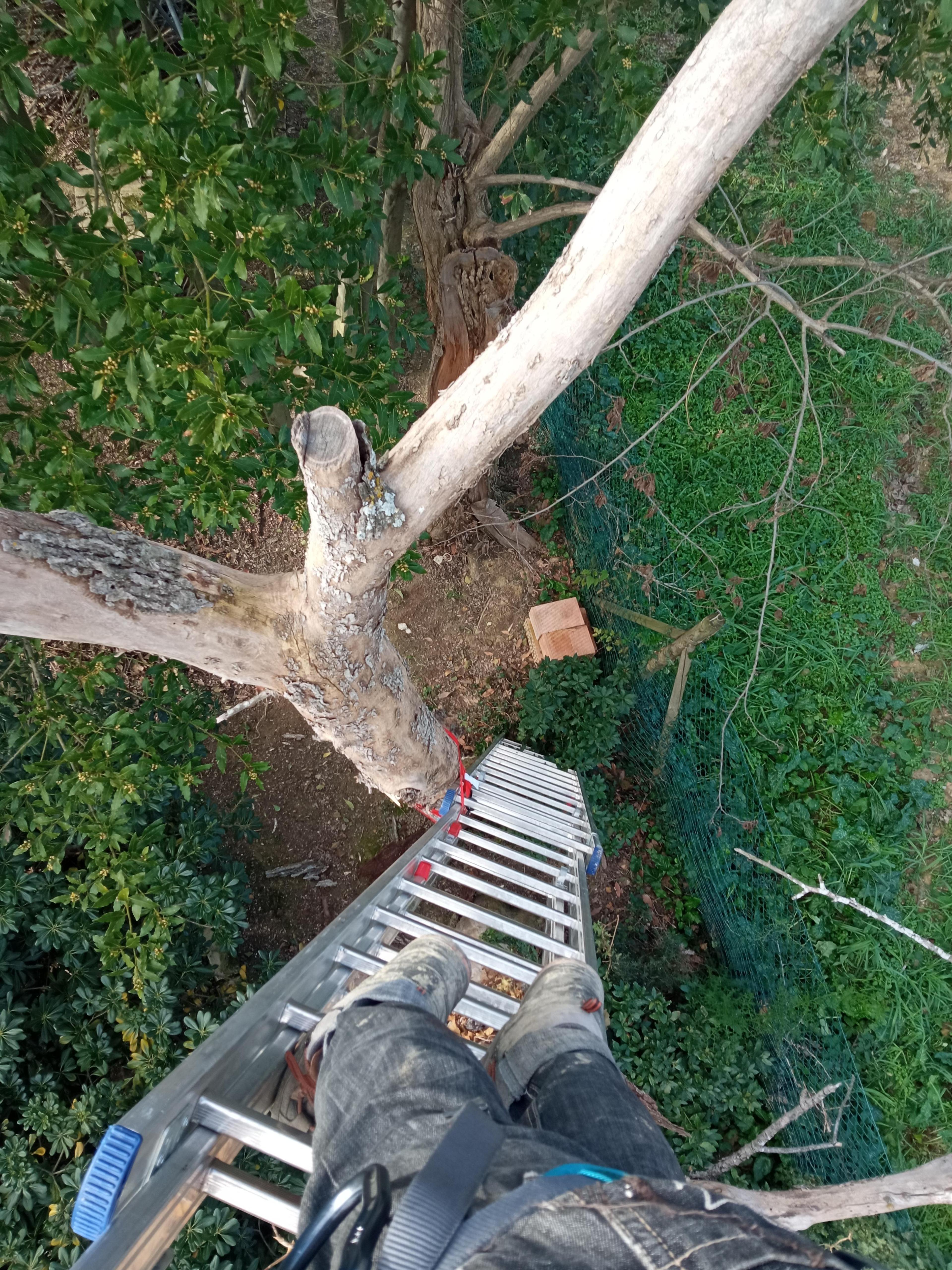 06578194-c172-4268-a8b4-47656dce8171.jpeg