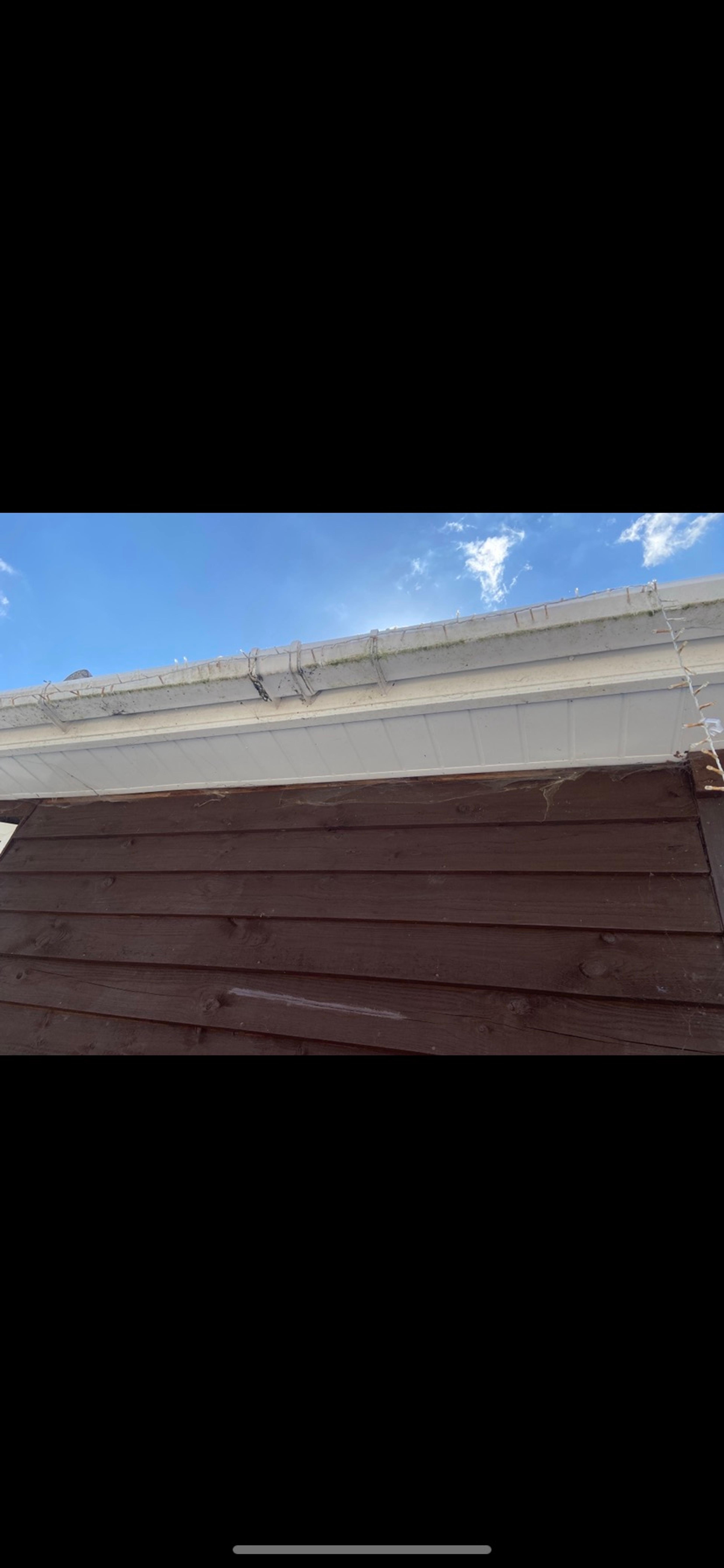06811e1b-fe2a-4caf-9ba6-eb2c46f1dab8.jpeg