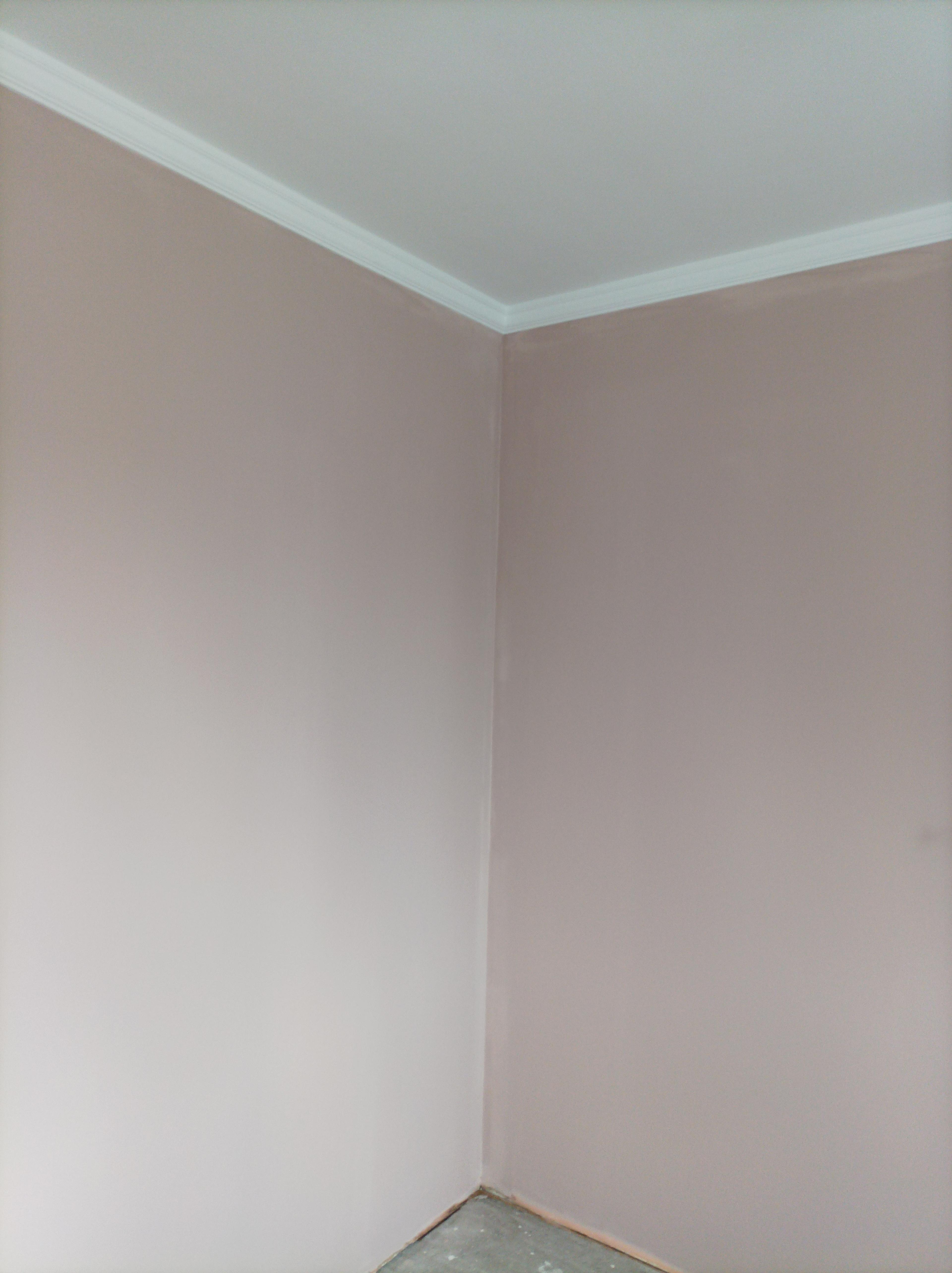 06ab90d6-a6d9-48da-97af-4720ed44f2a2.jpeg