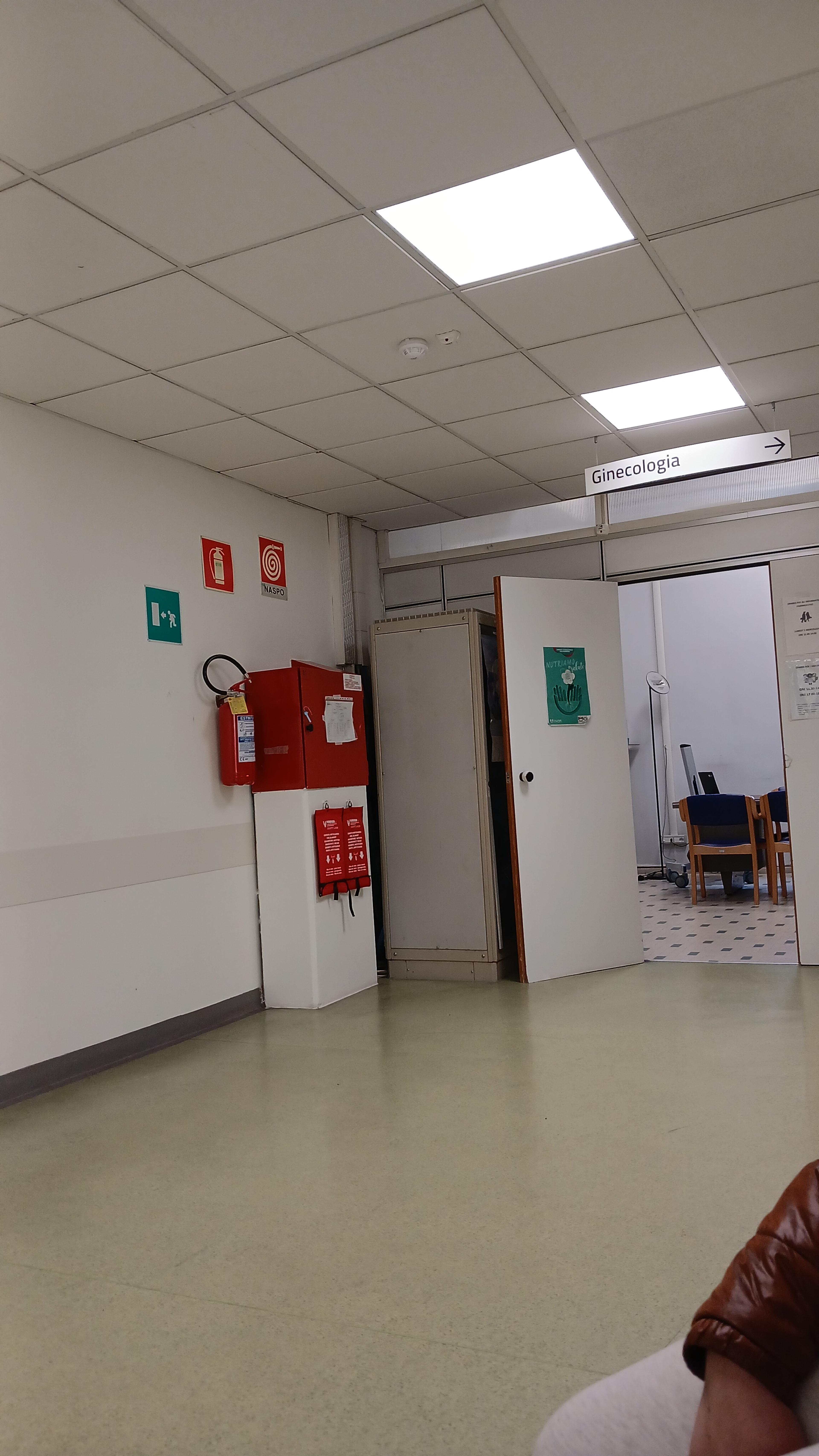06acc86f-2320-4236-b436-e622ac79312d.jpeg