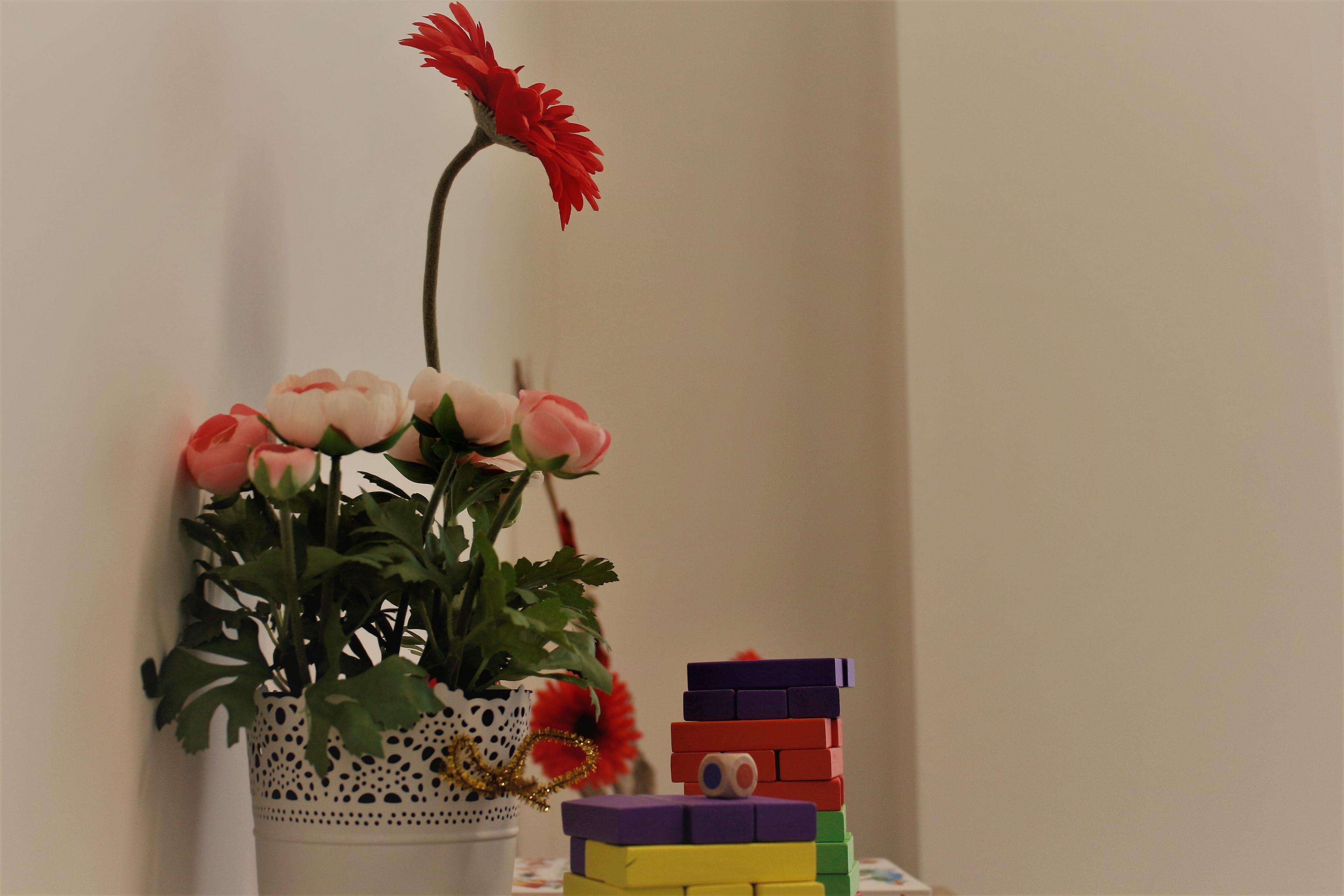 06de278e-b7d2-498a-b678-3a8951ec2f8f.jpeg