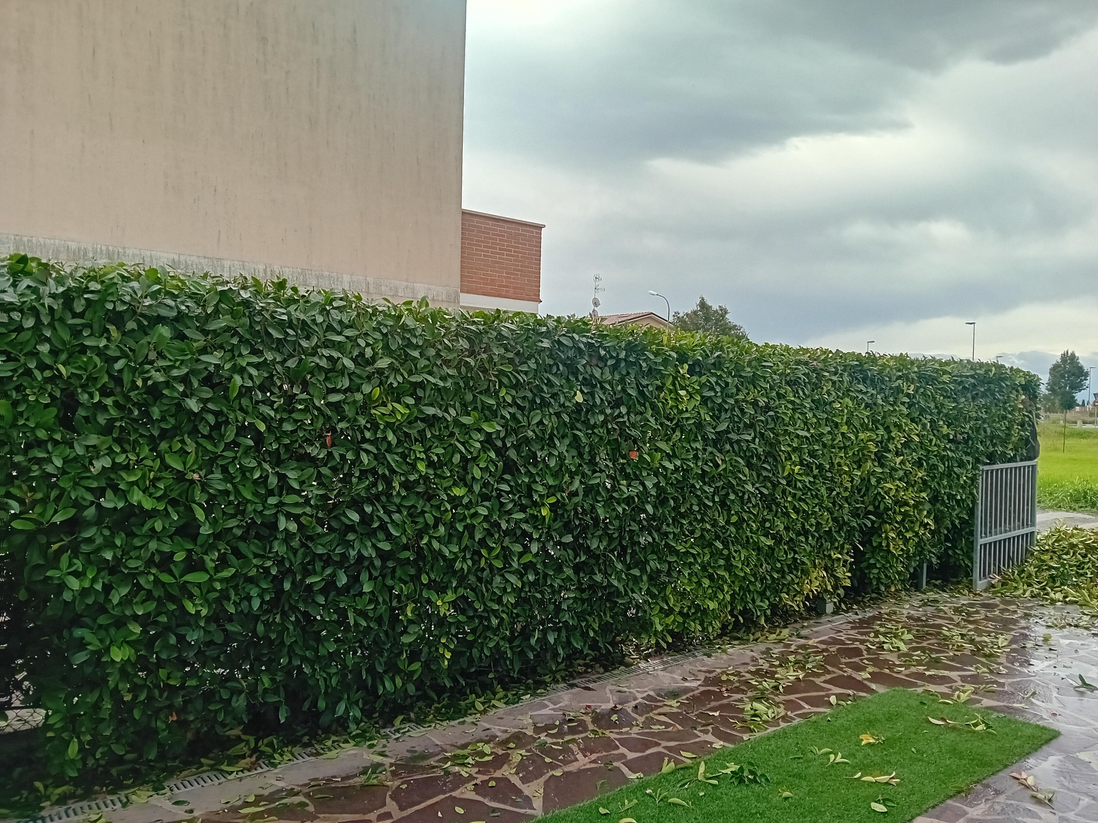 0709149c-ca3c-403e-b2f6-4dc826258d43.jpeg