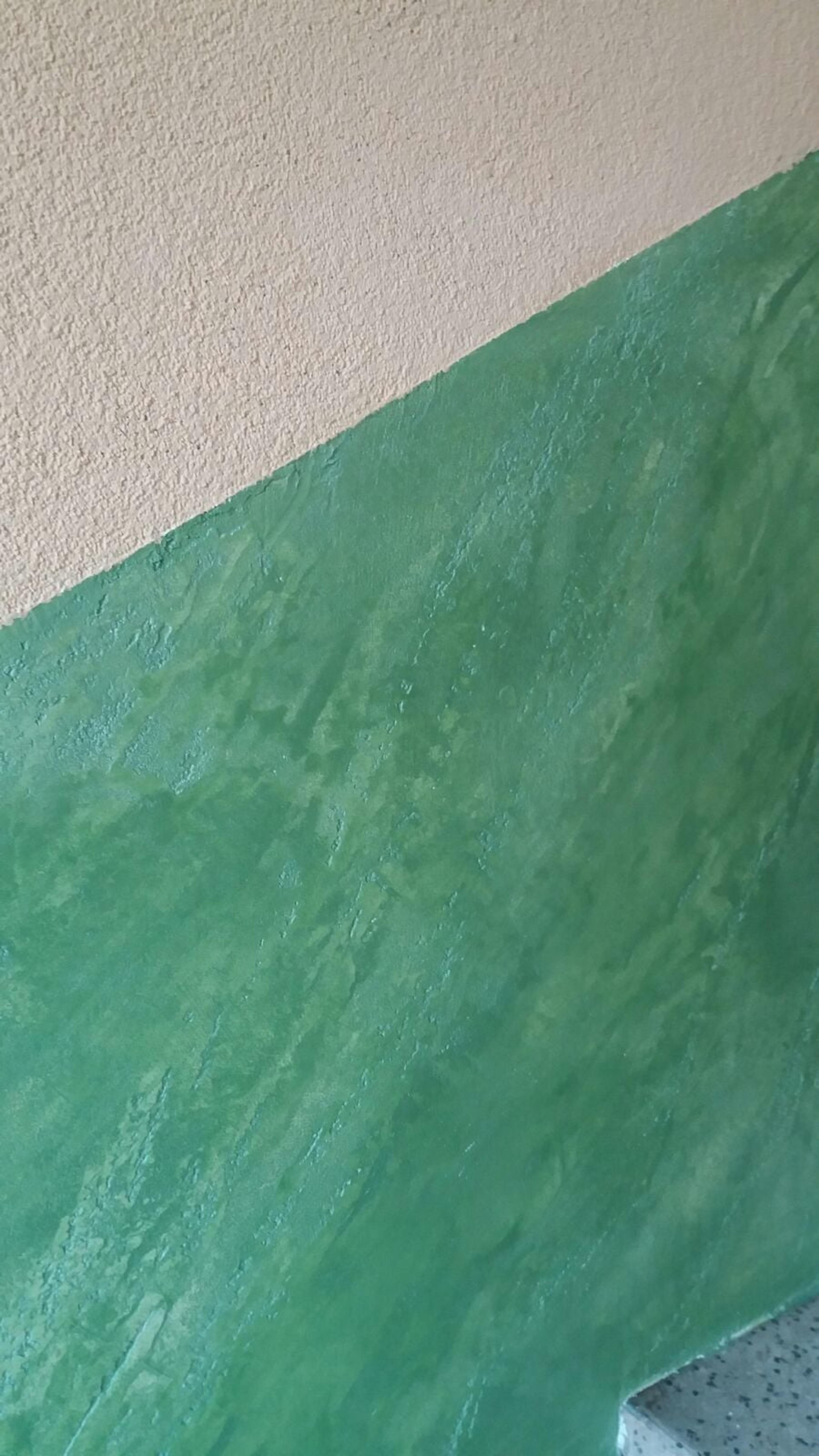 0728df7e-26b6-4a22-8dce-10b4f3371c25.jpeg