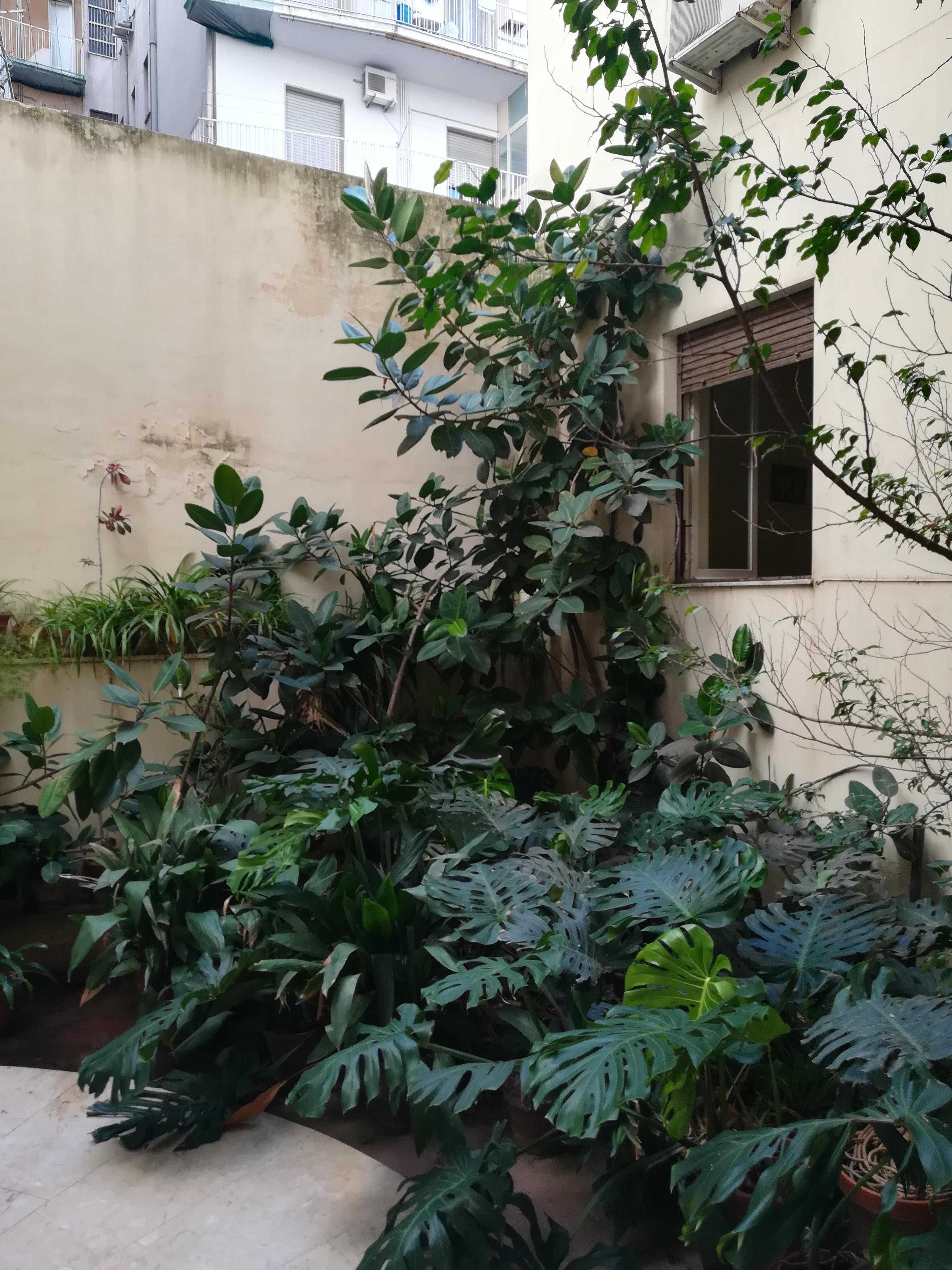 07311fce-9e66-4d04-b123-c994190c09b9.jpeg
