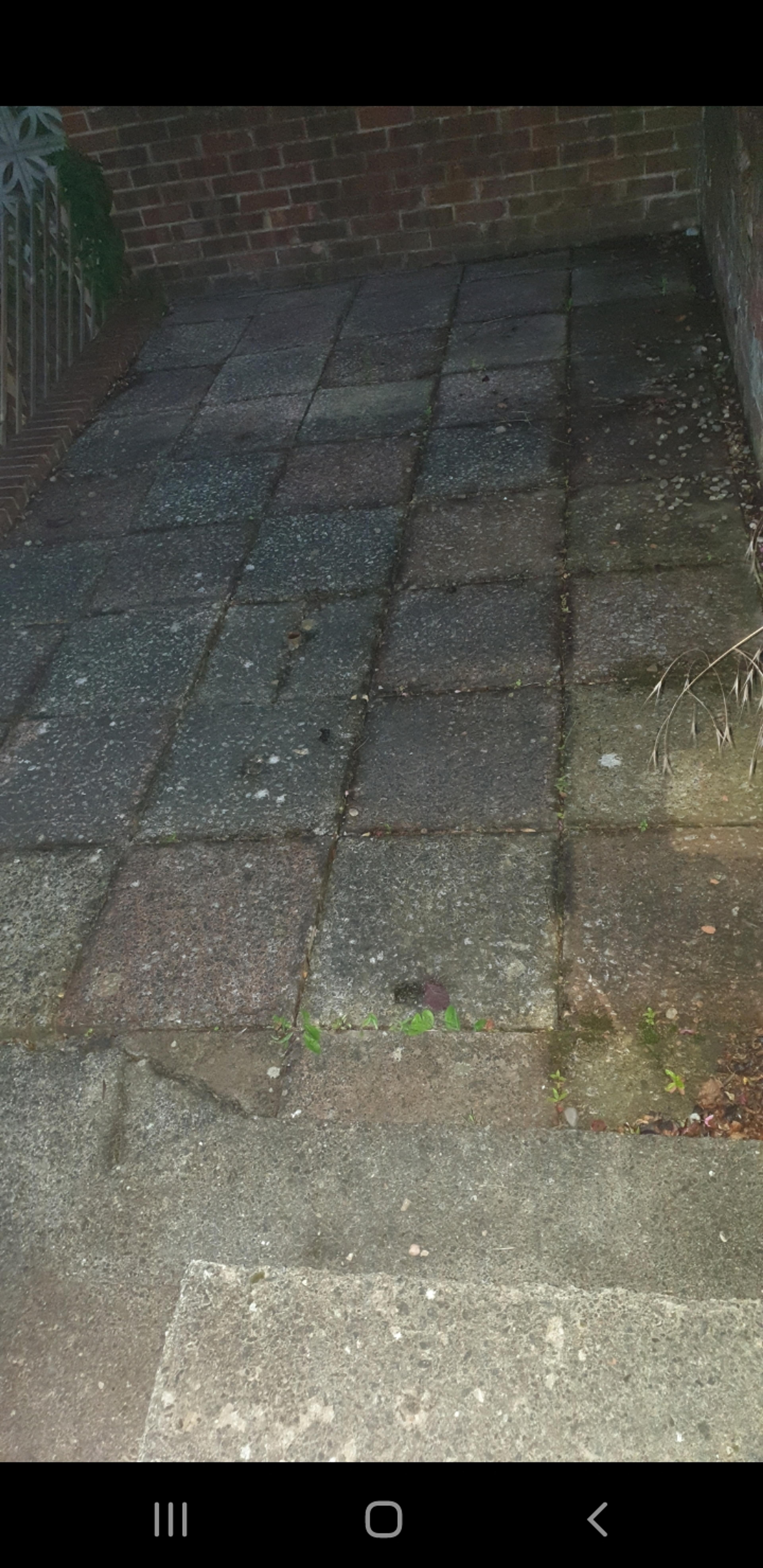 07711020-f04e-4066-88c1-6ff01ce47617.jpeg