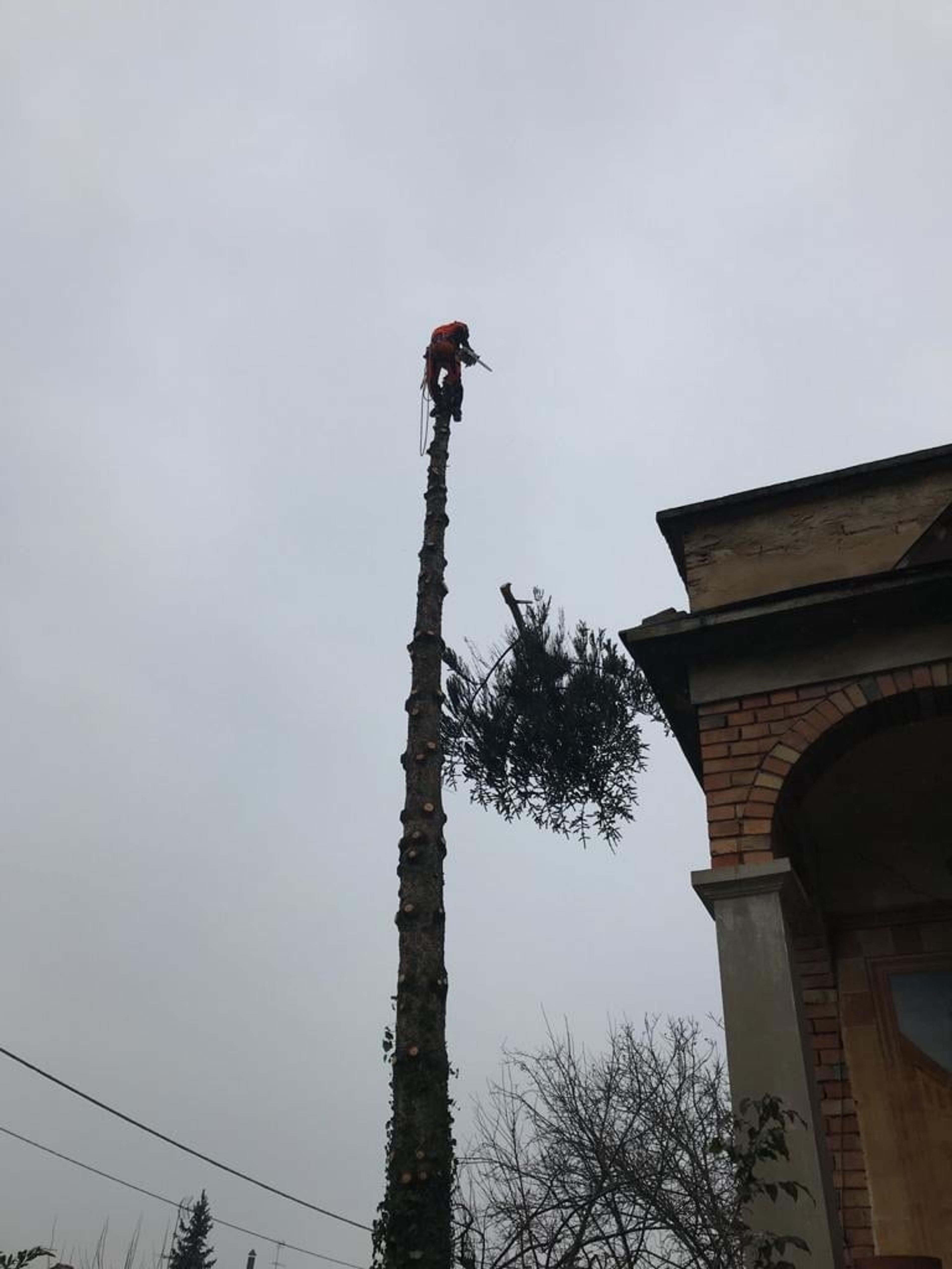 07885466-14ba-49da-ac83-06c006ef30f7.jpeg
