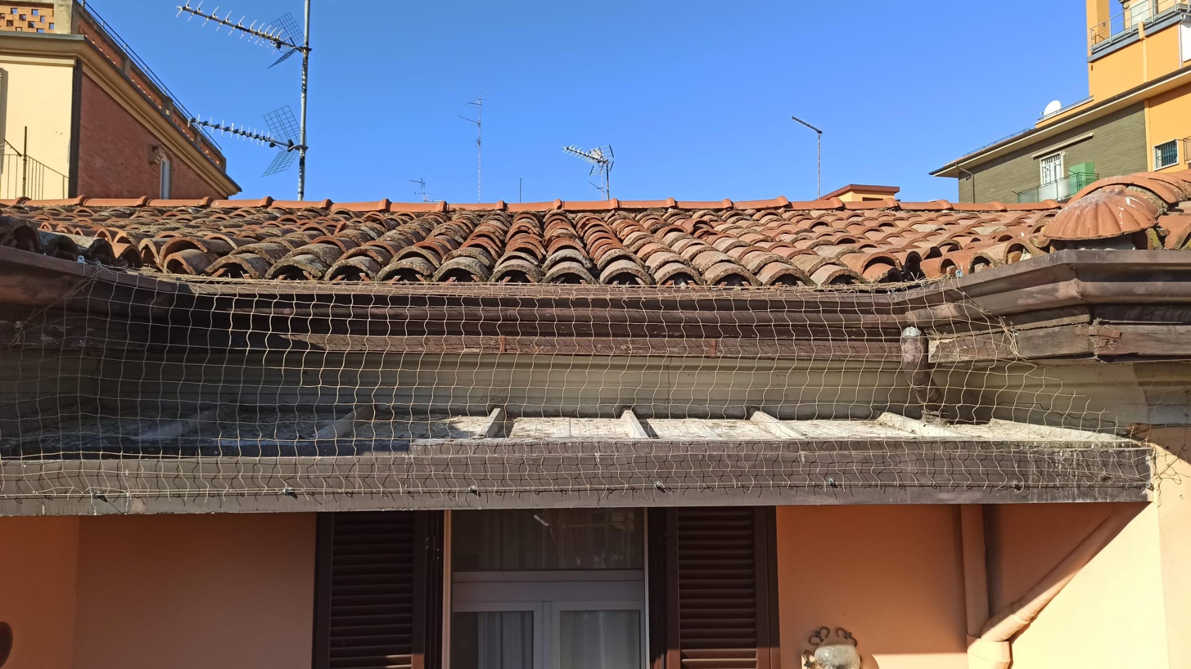 07885e59-3c8f-4d63-ad37-f0089b424467.jpeg