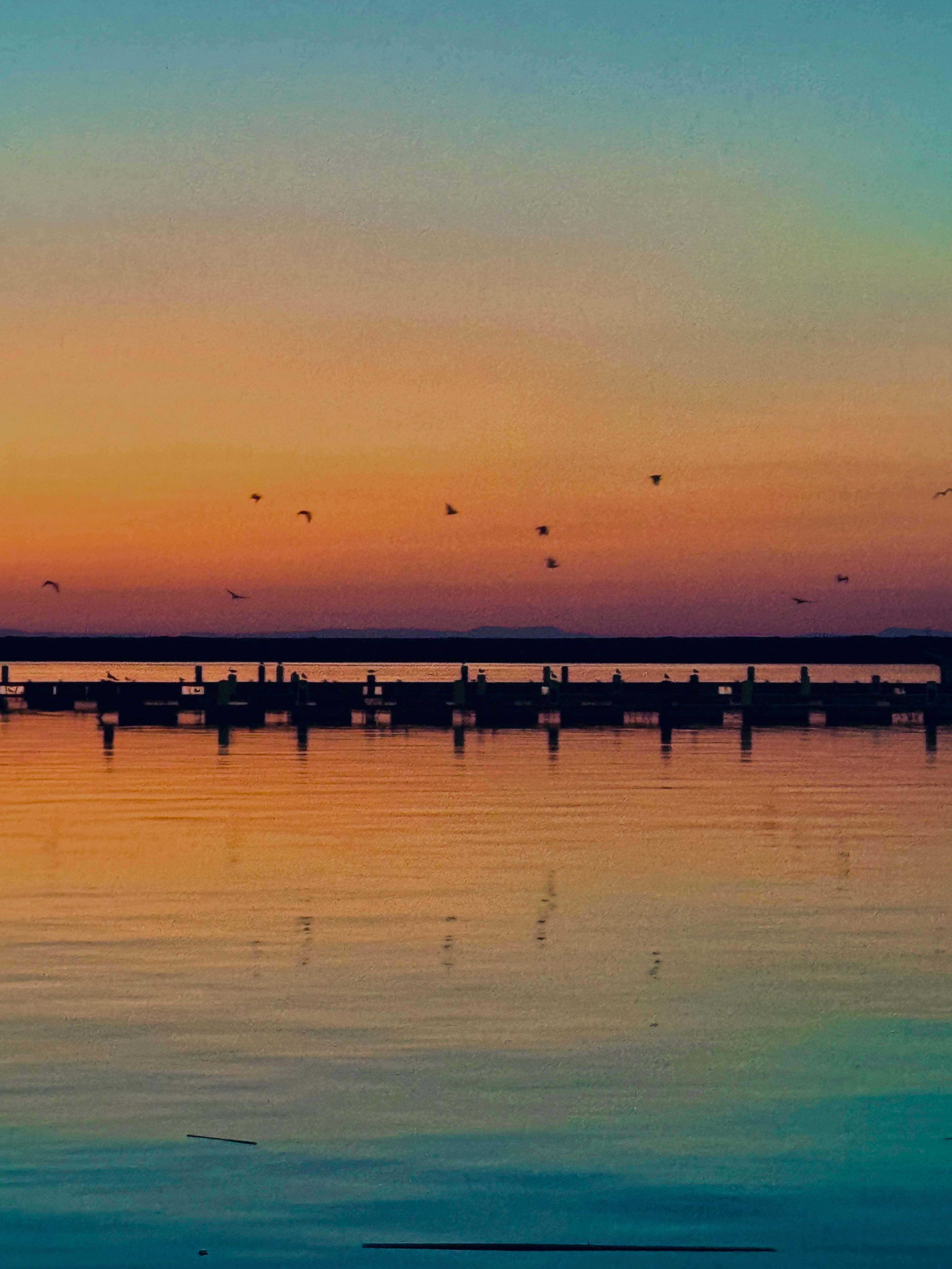 07e4a6c3-46f0-4c10-8b7d-60349160b012.jpeg