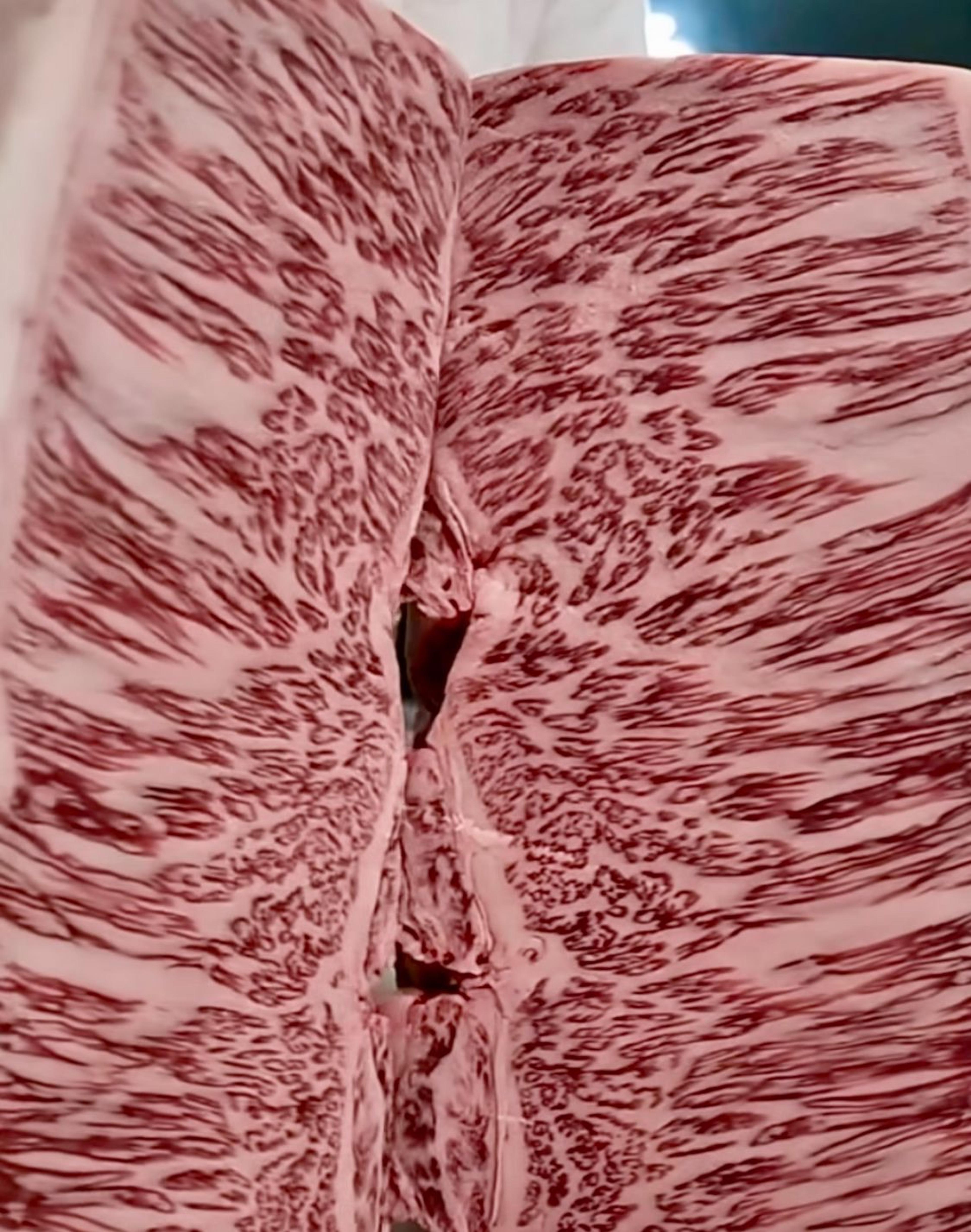 08a9c6ec-9d1d-46d7-b0f1-6d14c049f9d5.jpeg