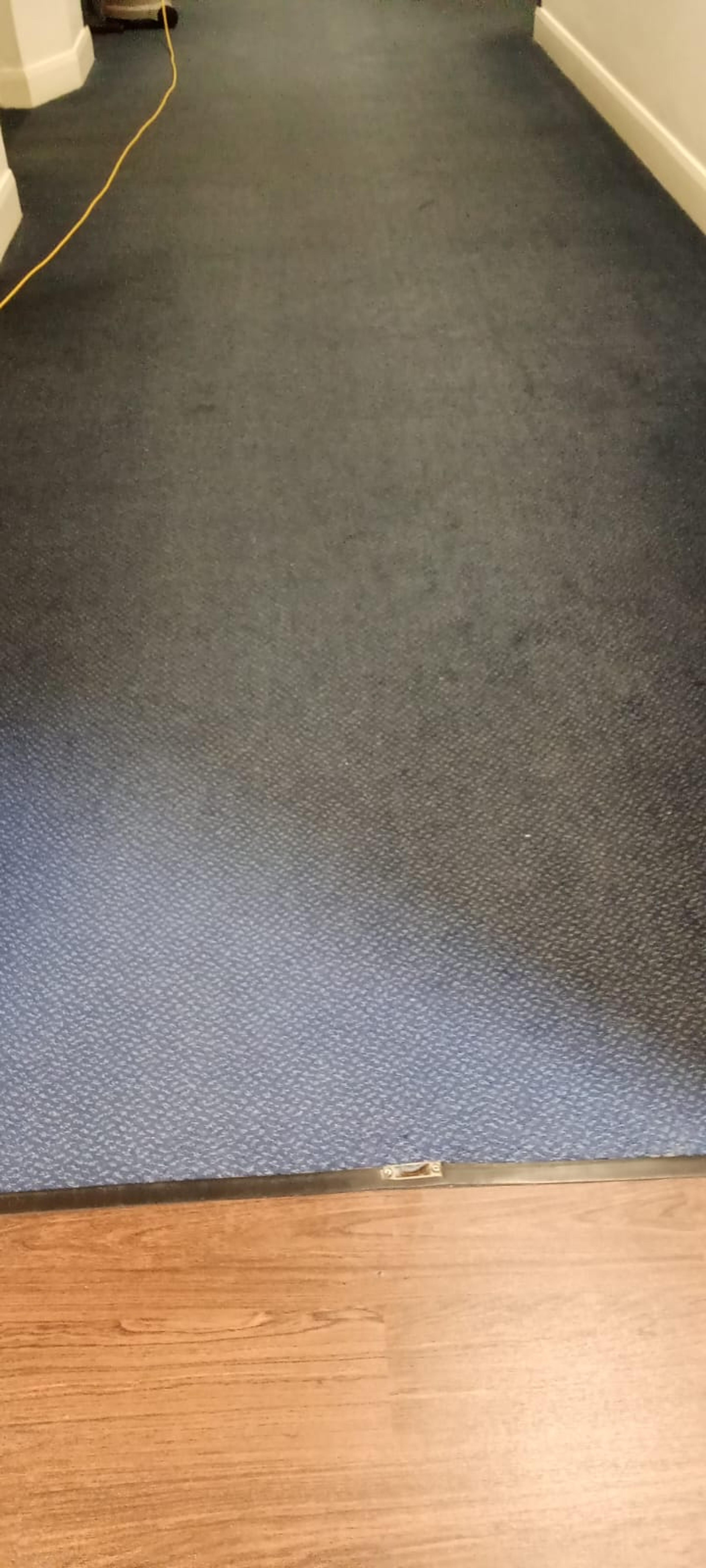 08b75809-8e07-45f6-ae16-69e002239b54.jpeg