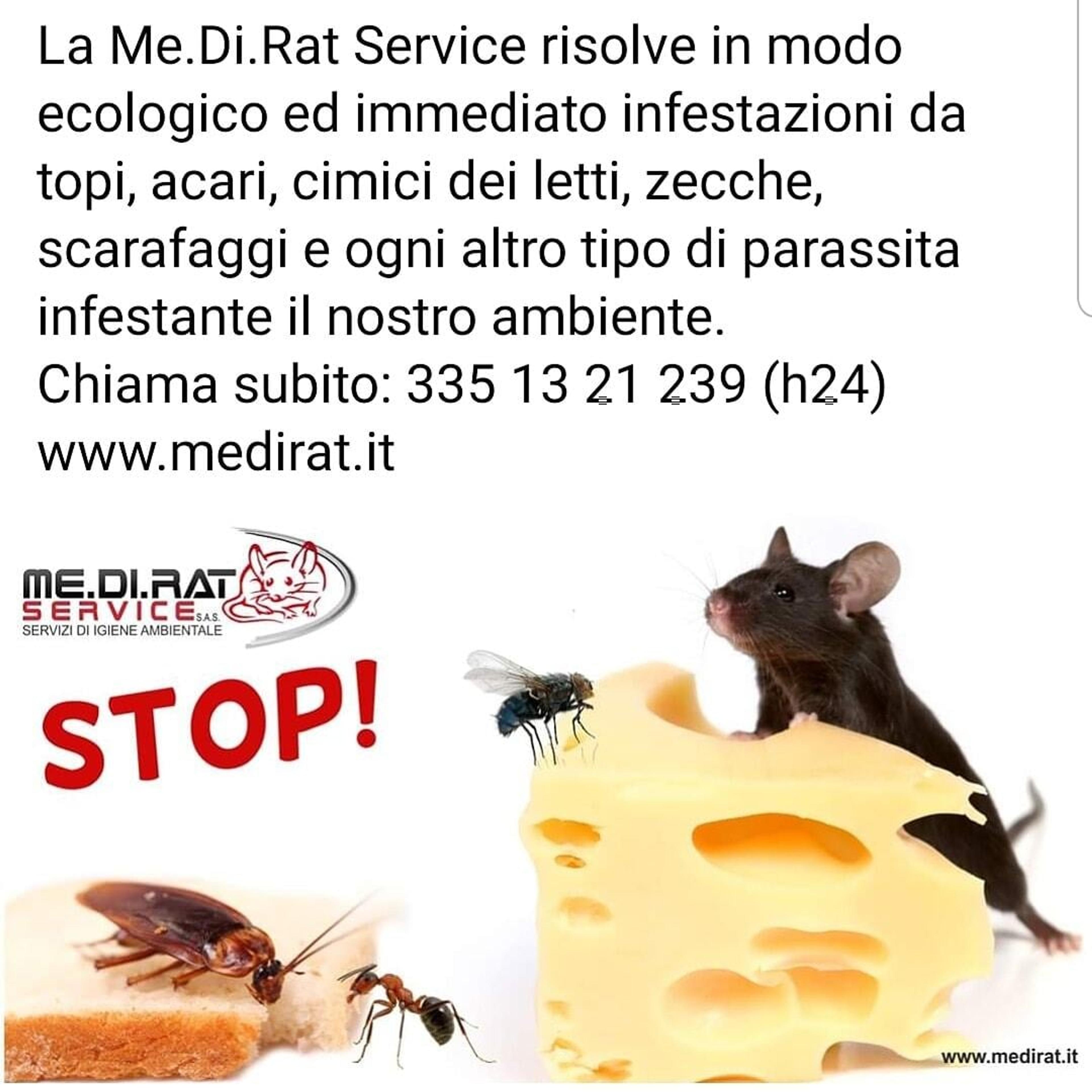 08bb0f2f-07a8-4624-aa28-39908a897dbc.jpeg