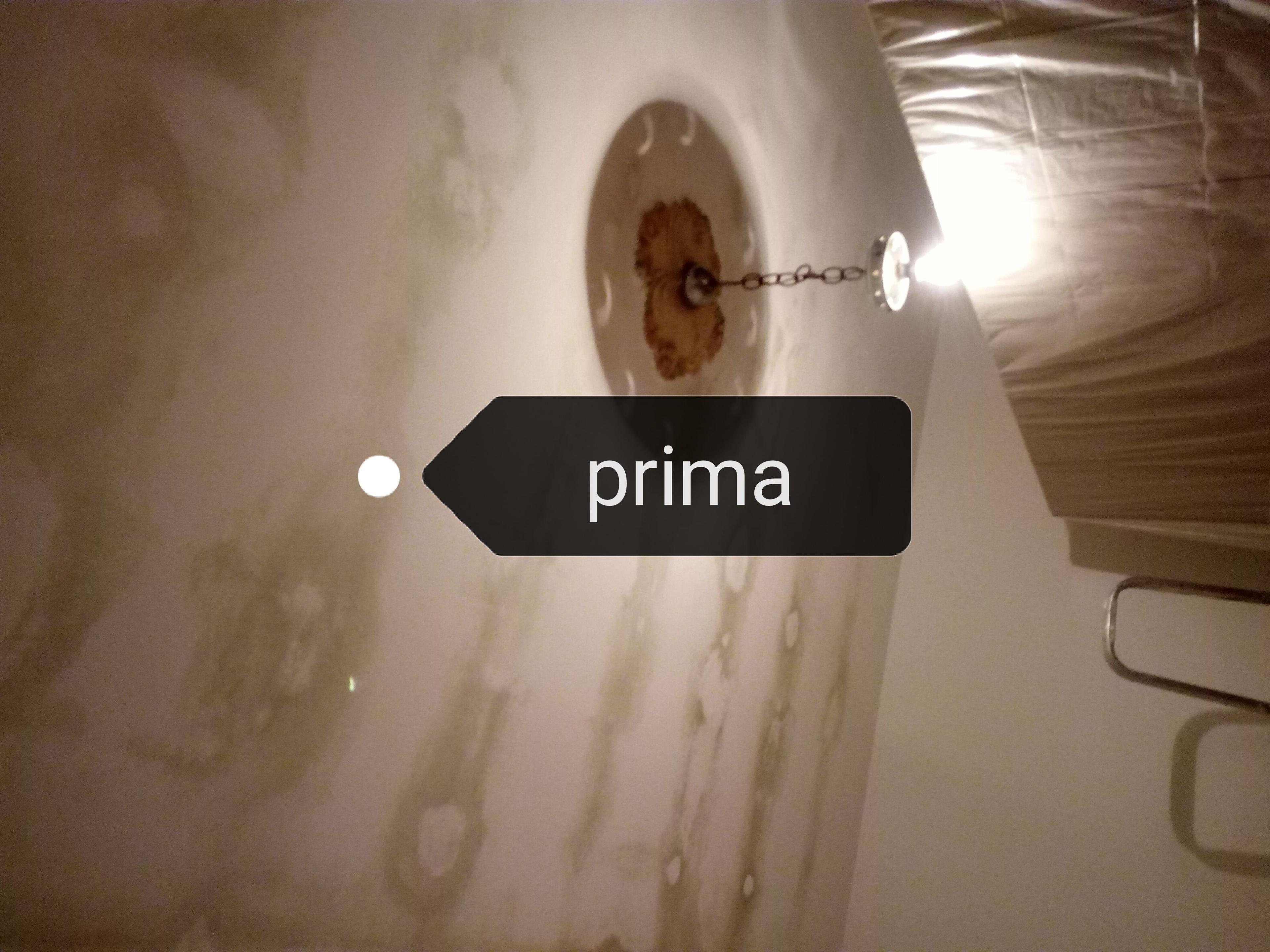 08c6ea6b-c38c-4627-92b8-ae93d2226547.jpeg