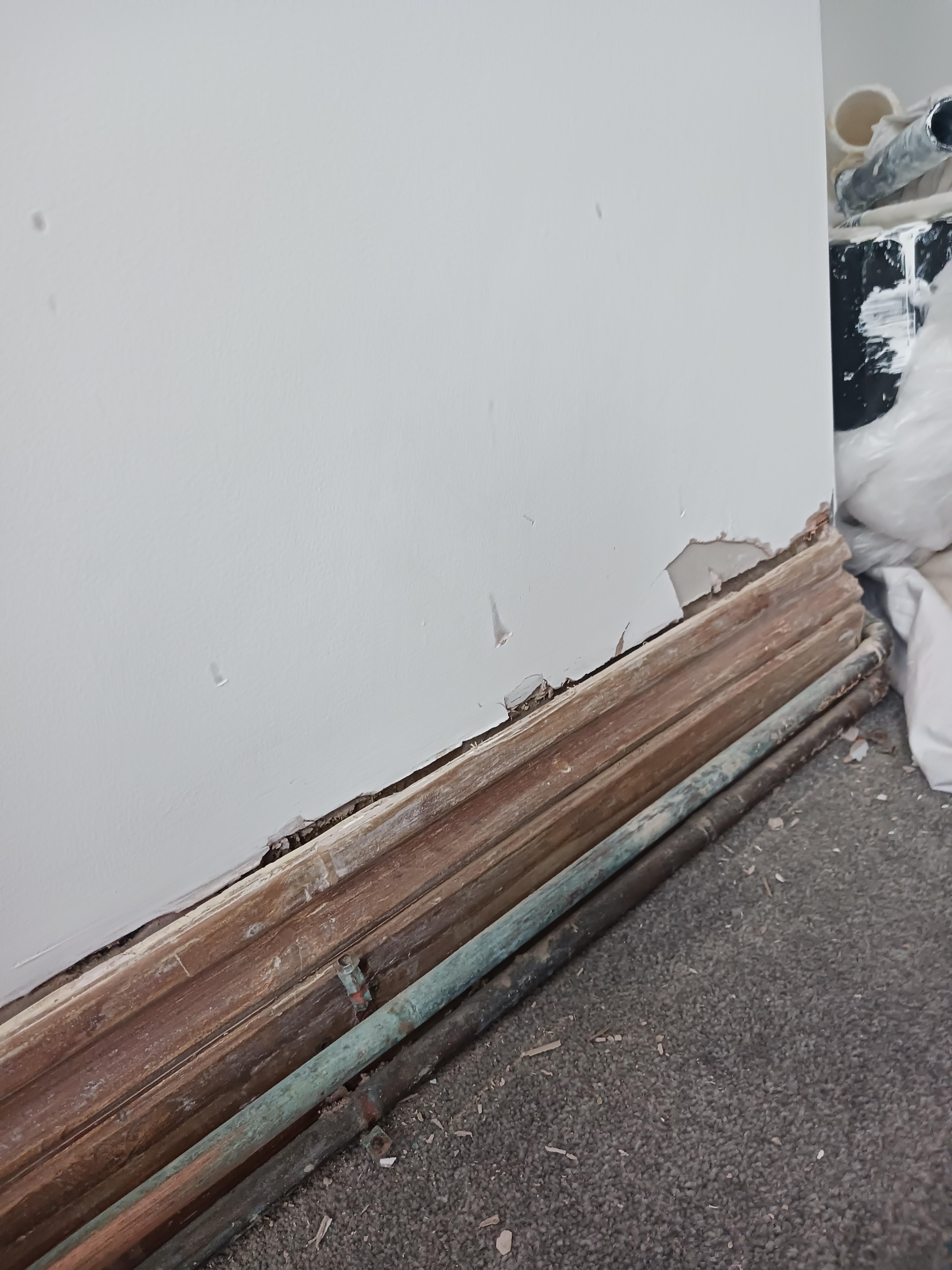 08c73052-8367-4766-a64a-39cf280021e0.jpeg