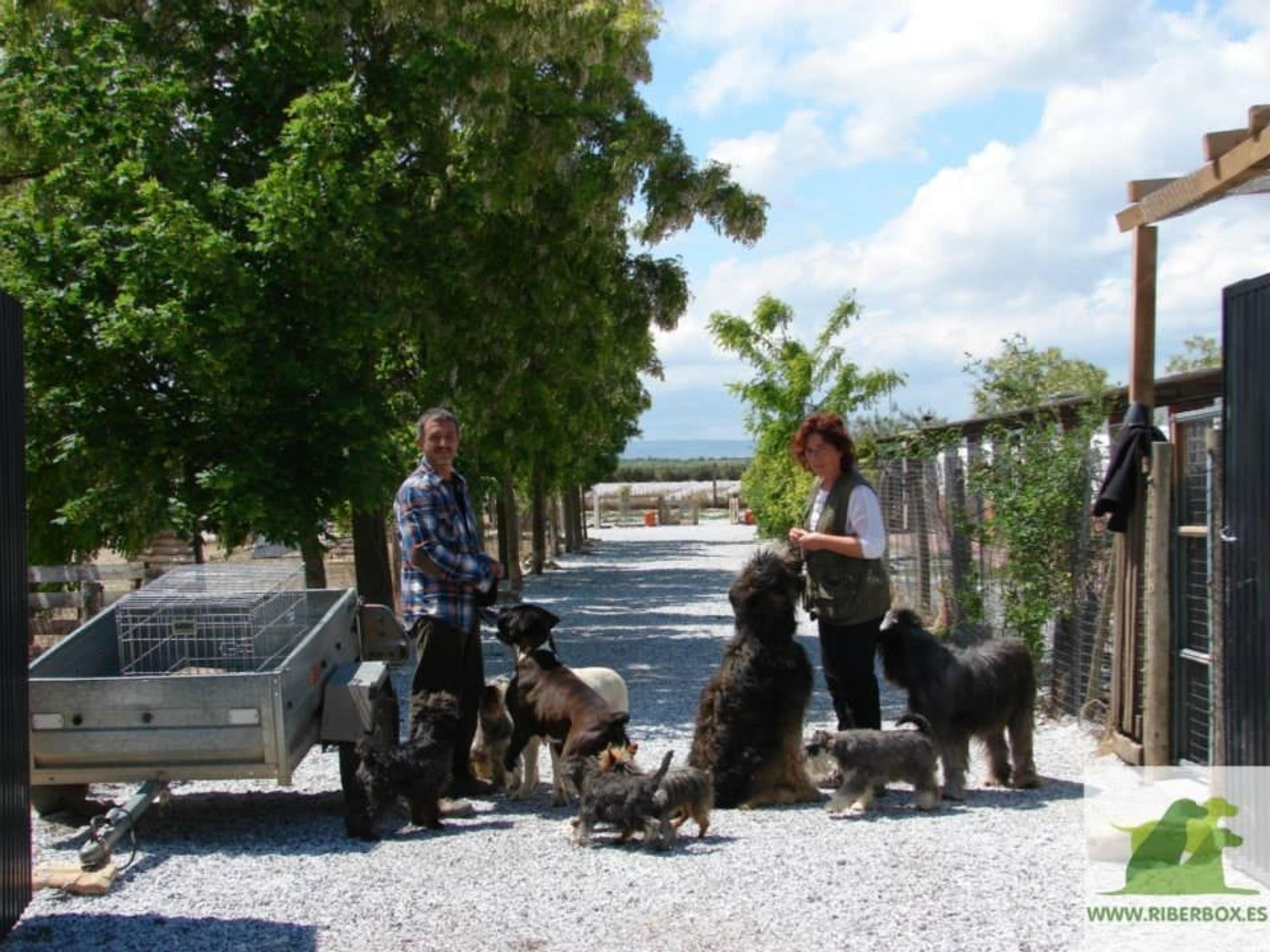 09bbde01-be34-41ba-a8c6-215db5f15760.jpeg
