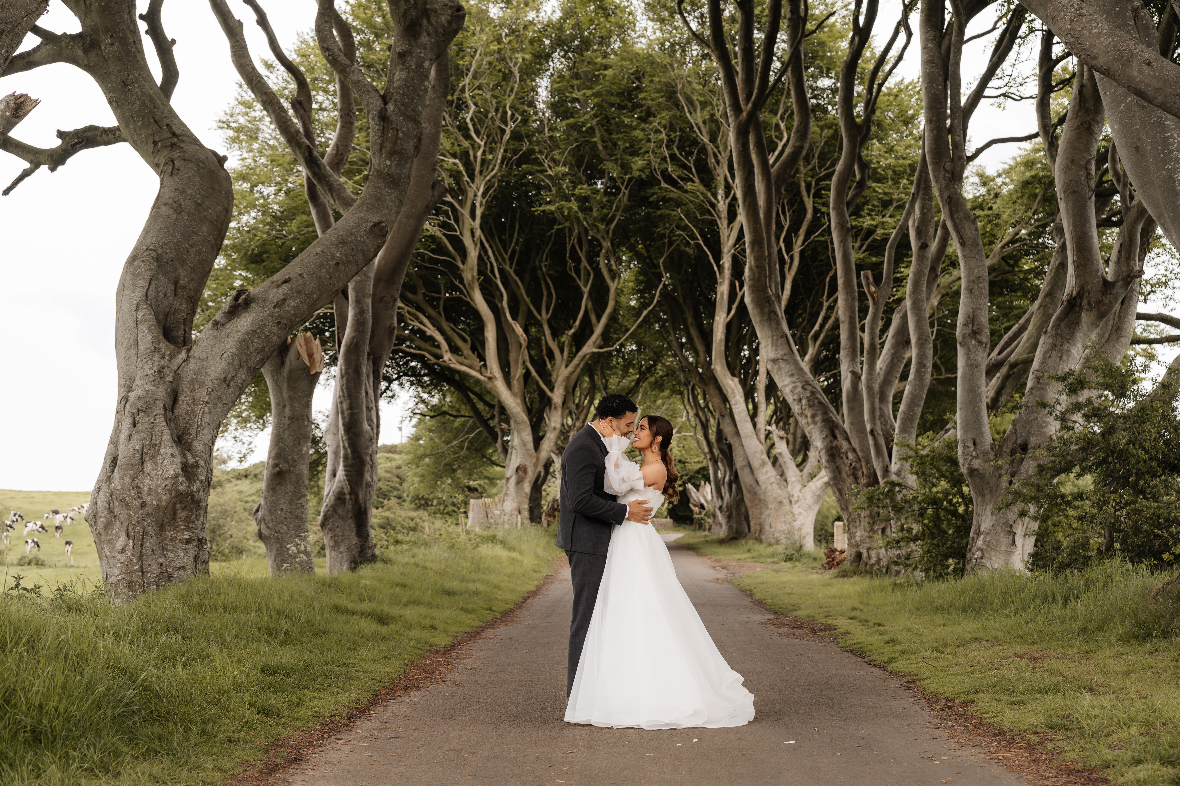 09ce28de-4e4b-4daa-9524-5f782ac290d6.jpeg