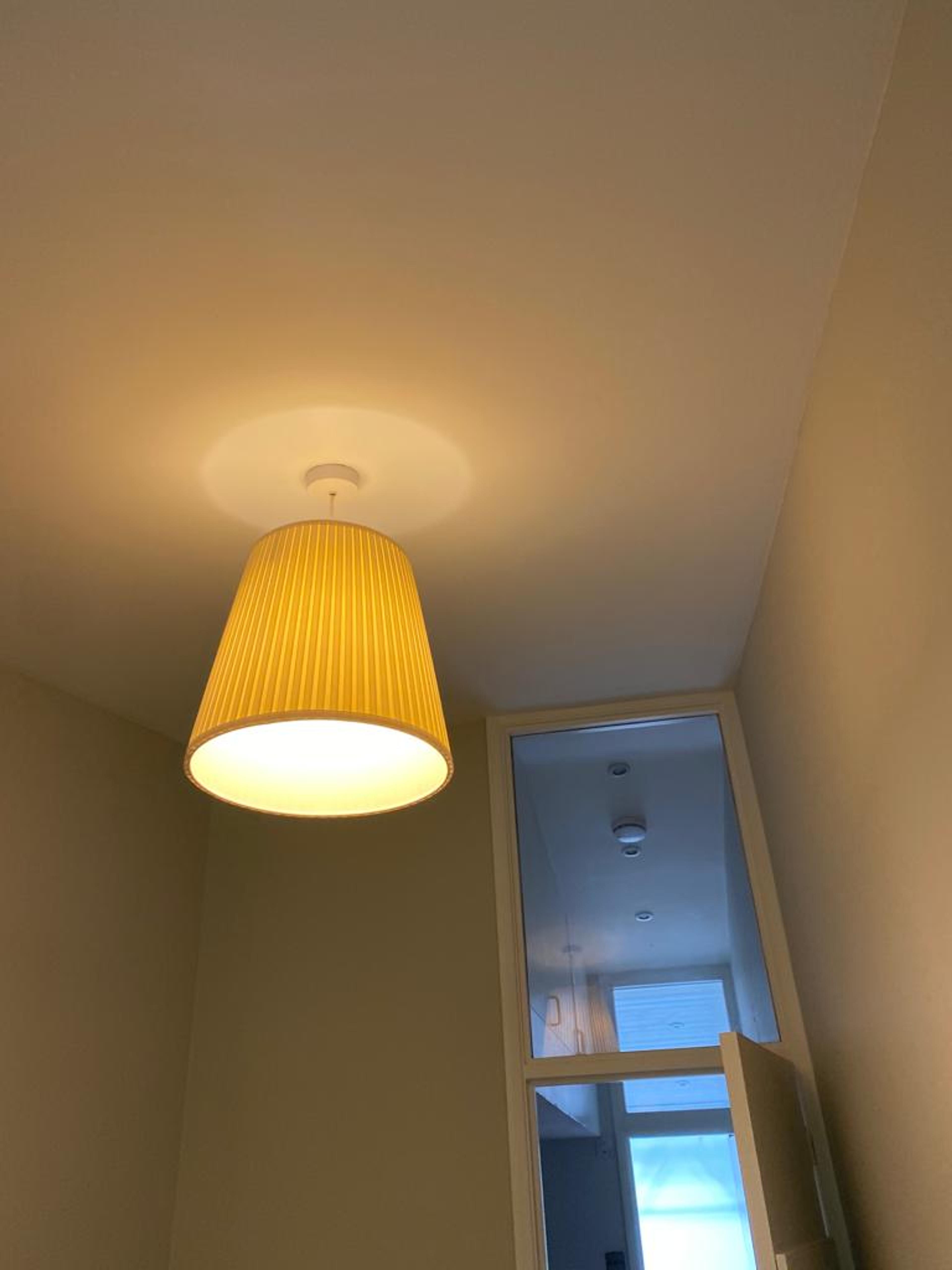 0a554c79-ab2c-4226-9d7e-7c711f4337fe.jpeg