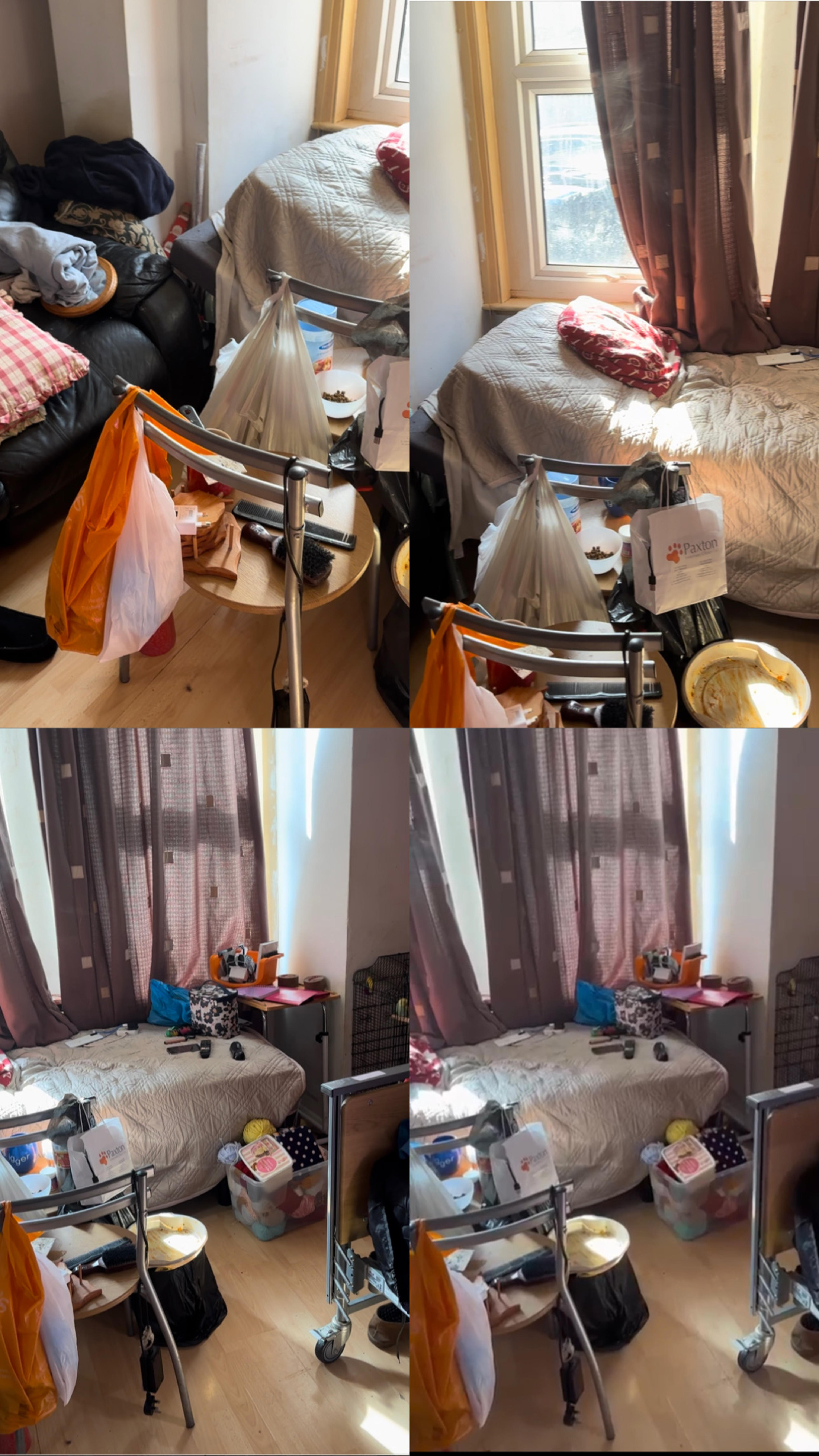 0a72e206-f268-4320-9a23-df3d2570bc0a.jpeg