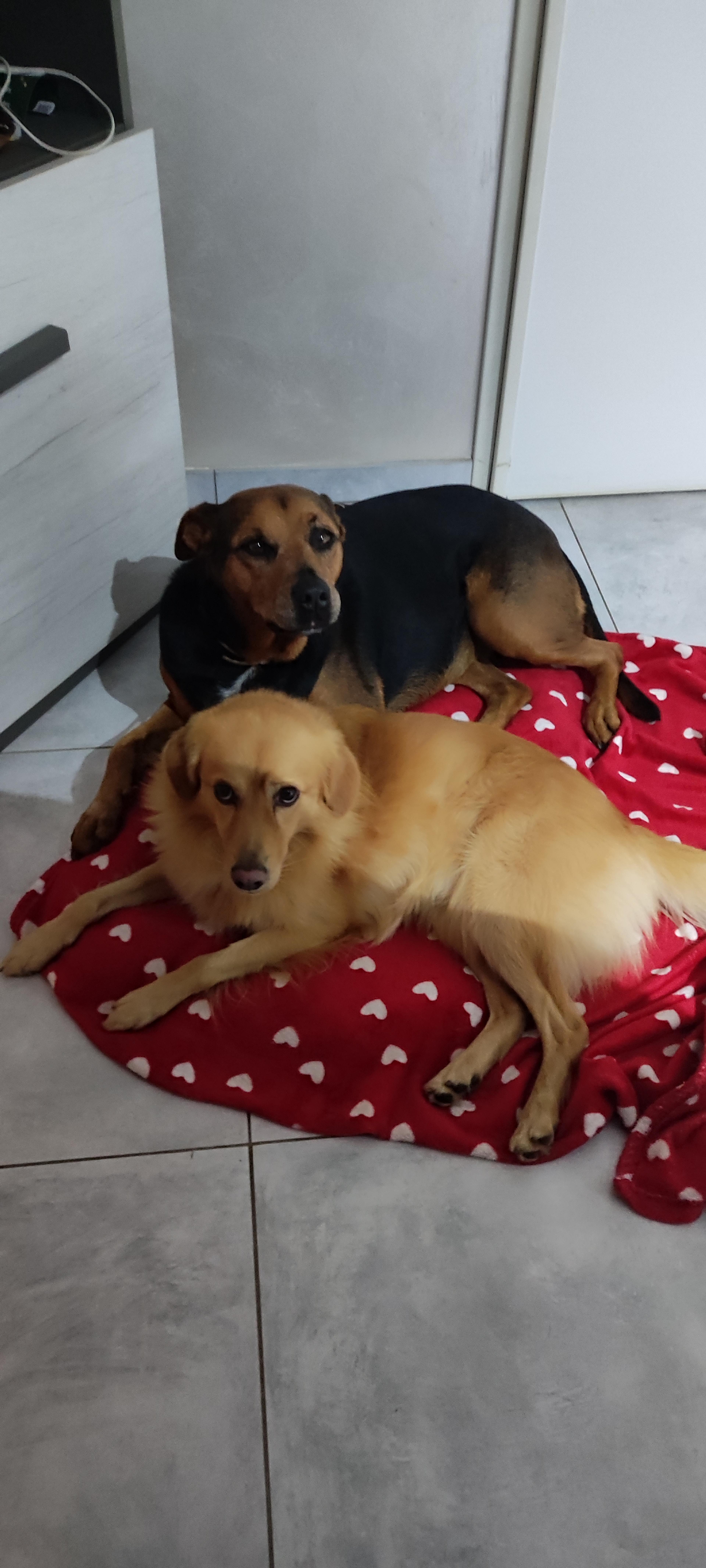 0ae96588-b1da-4cfb-b5b0-1ed6374844a7.jpeg
