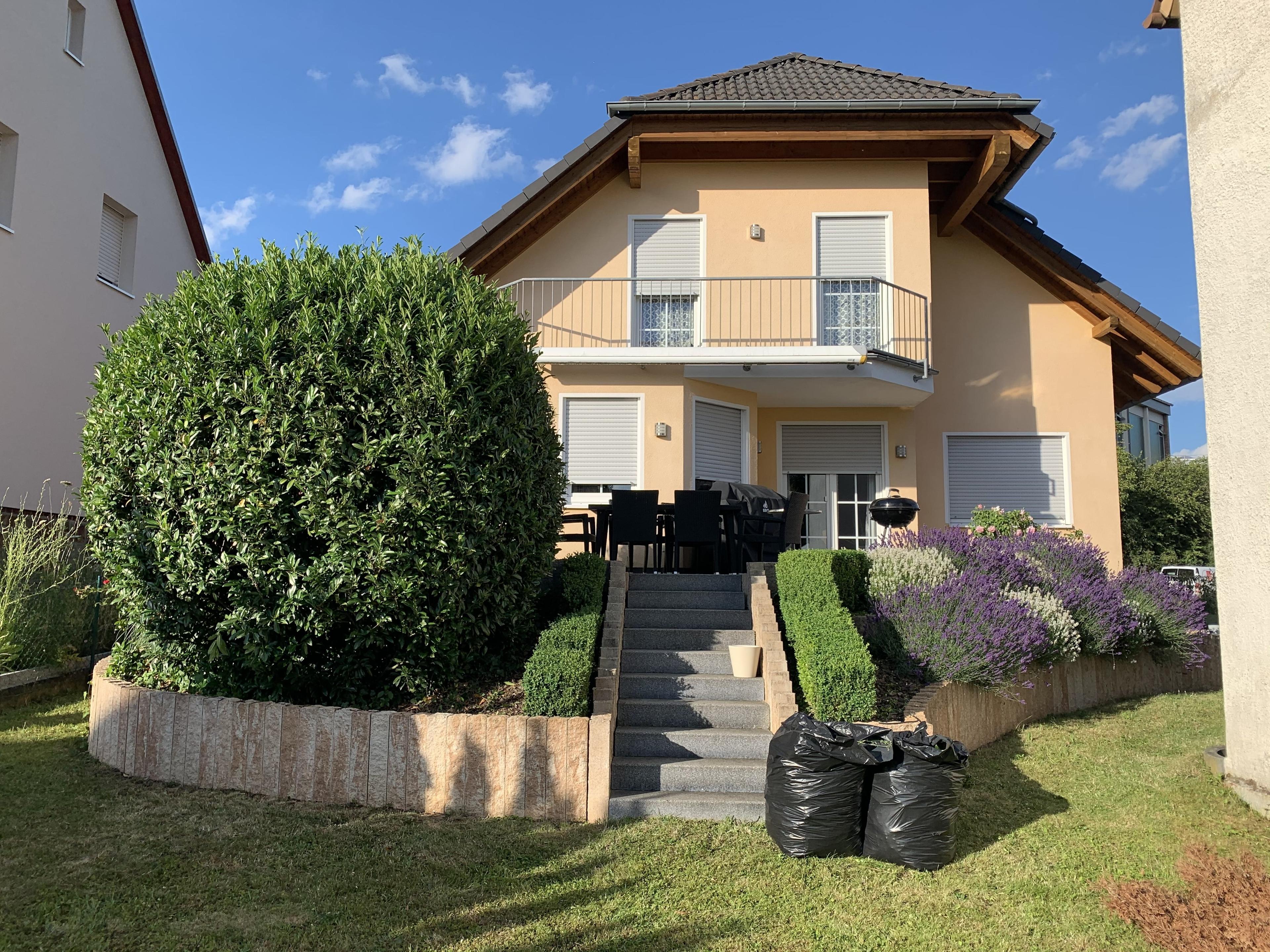 0af37453-4d33-40b9-acb0-66c2dba0f7e8.jpeg