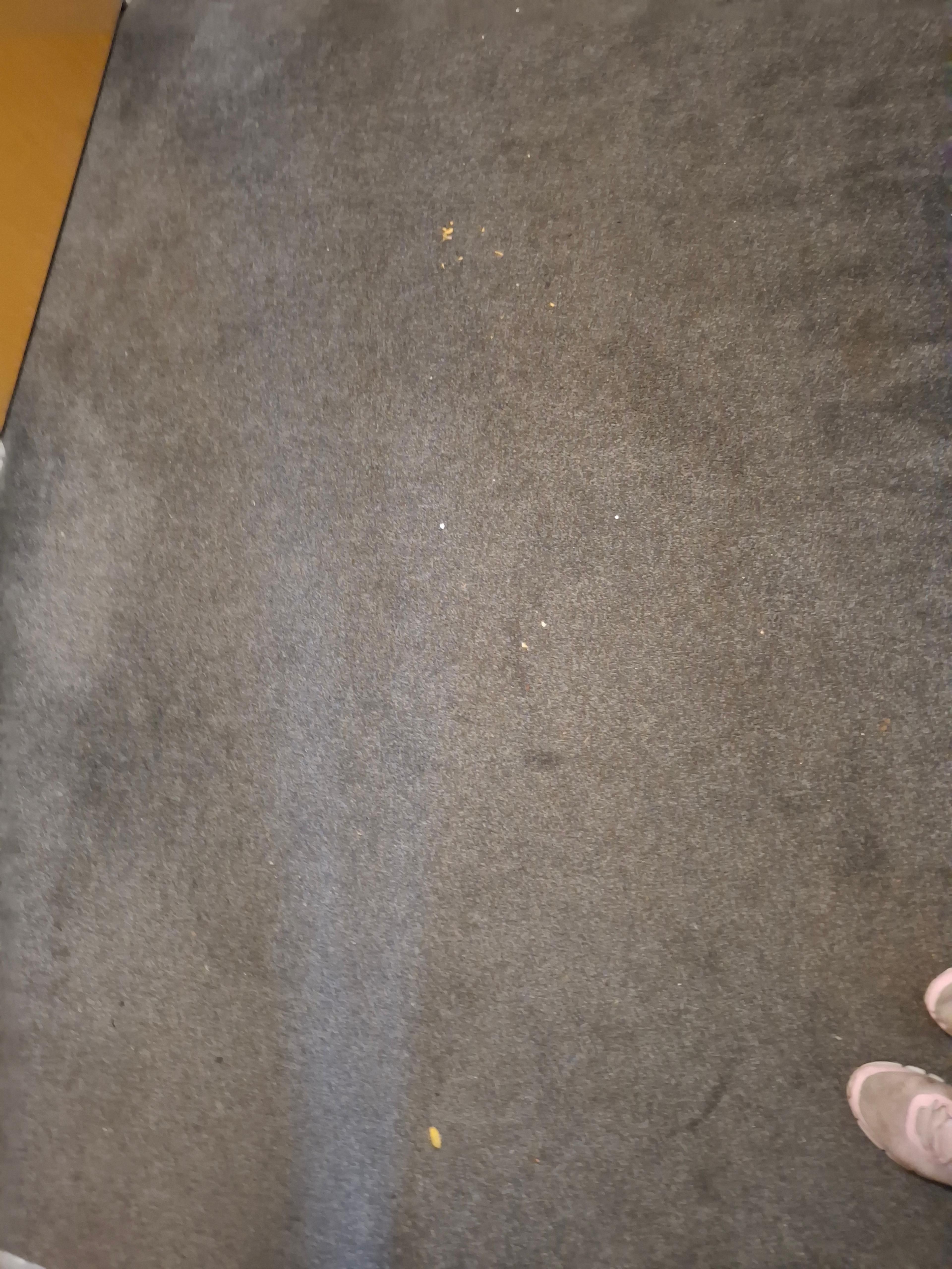 0b187221-8f45-49b7-a8f6-4db44c39d24f.jpeg
