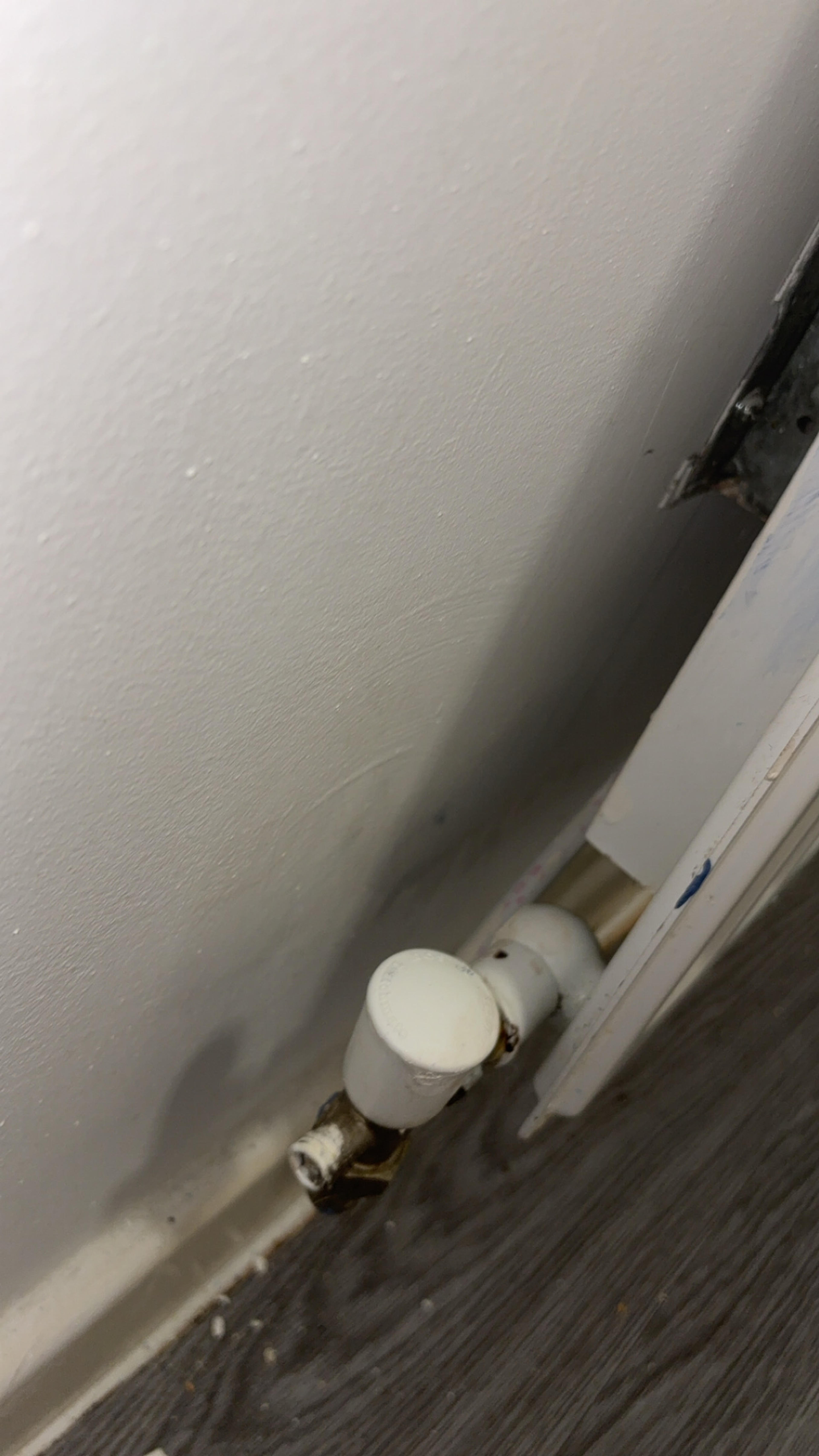 0b91125e-590b-4942-9182-2d987bb5121f.jpeg