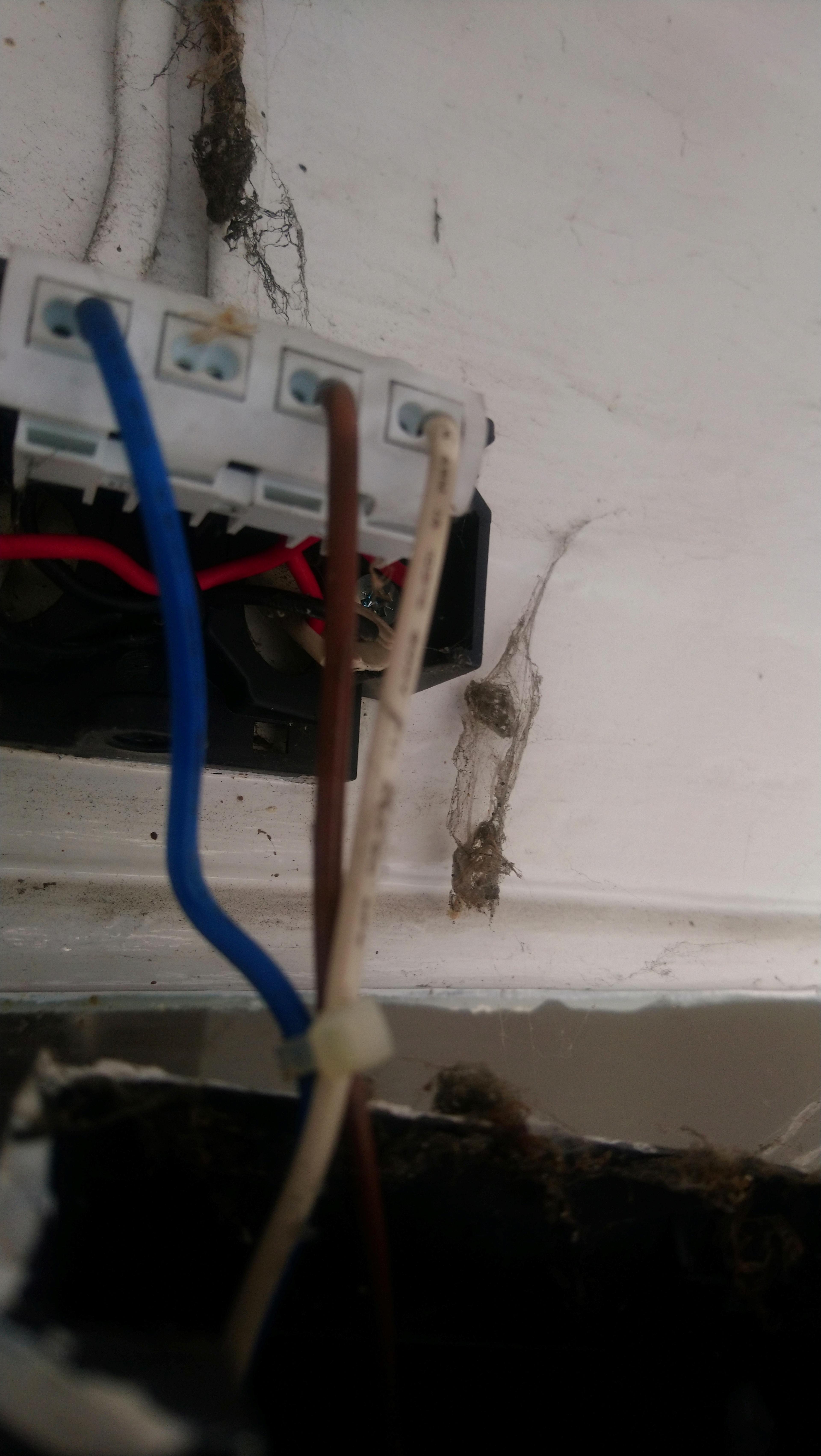 0b9393af-e90d-4ee5-bac6-bcde5516743d.jpeg