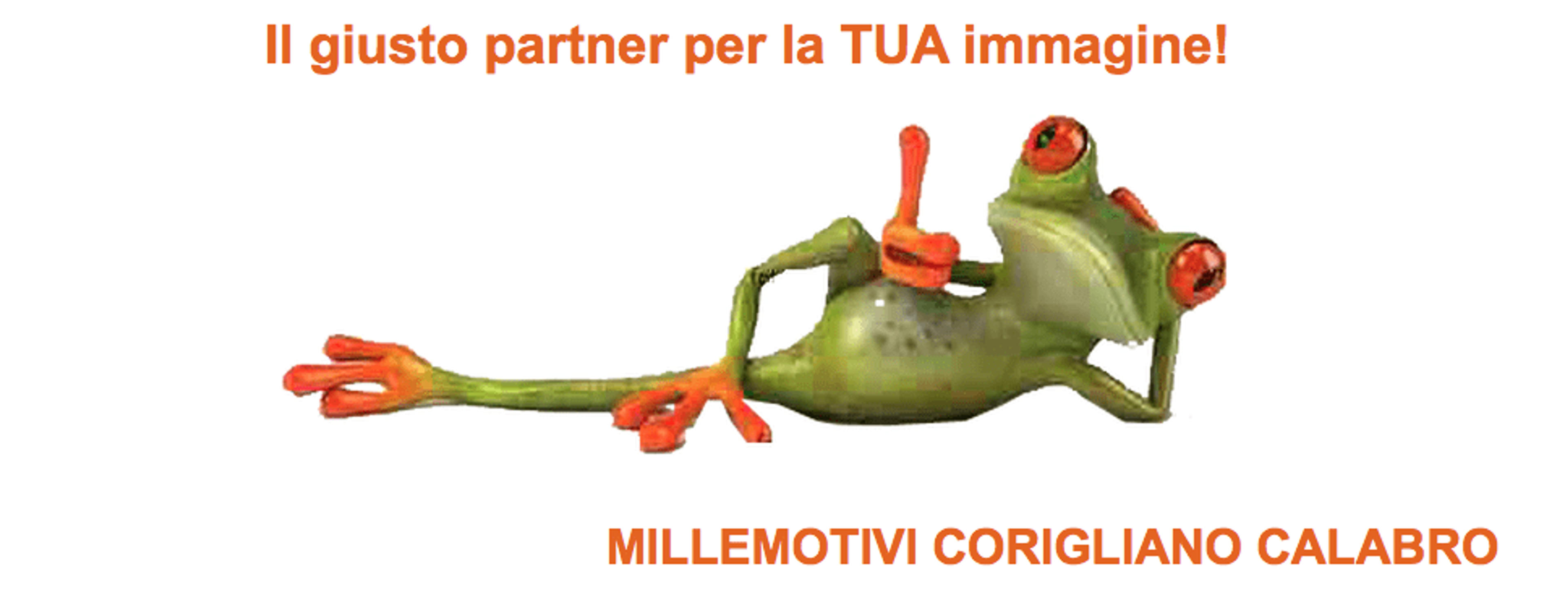 0baa6d14-991b-4f69-8612-b15c8ba3d62d.png