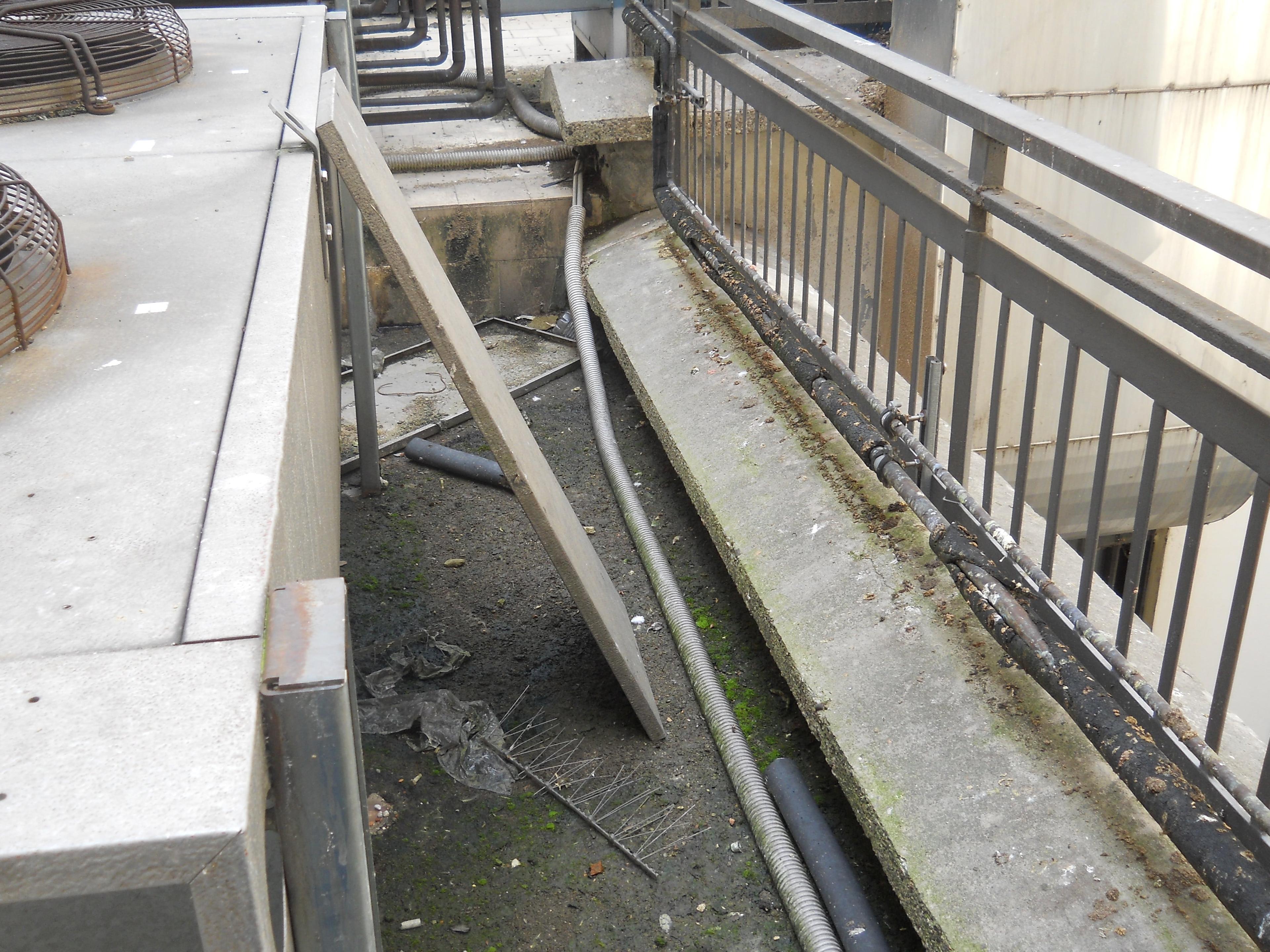 0bf0610c-04be-416d-acf2-bd4050d21cfa.jpg