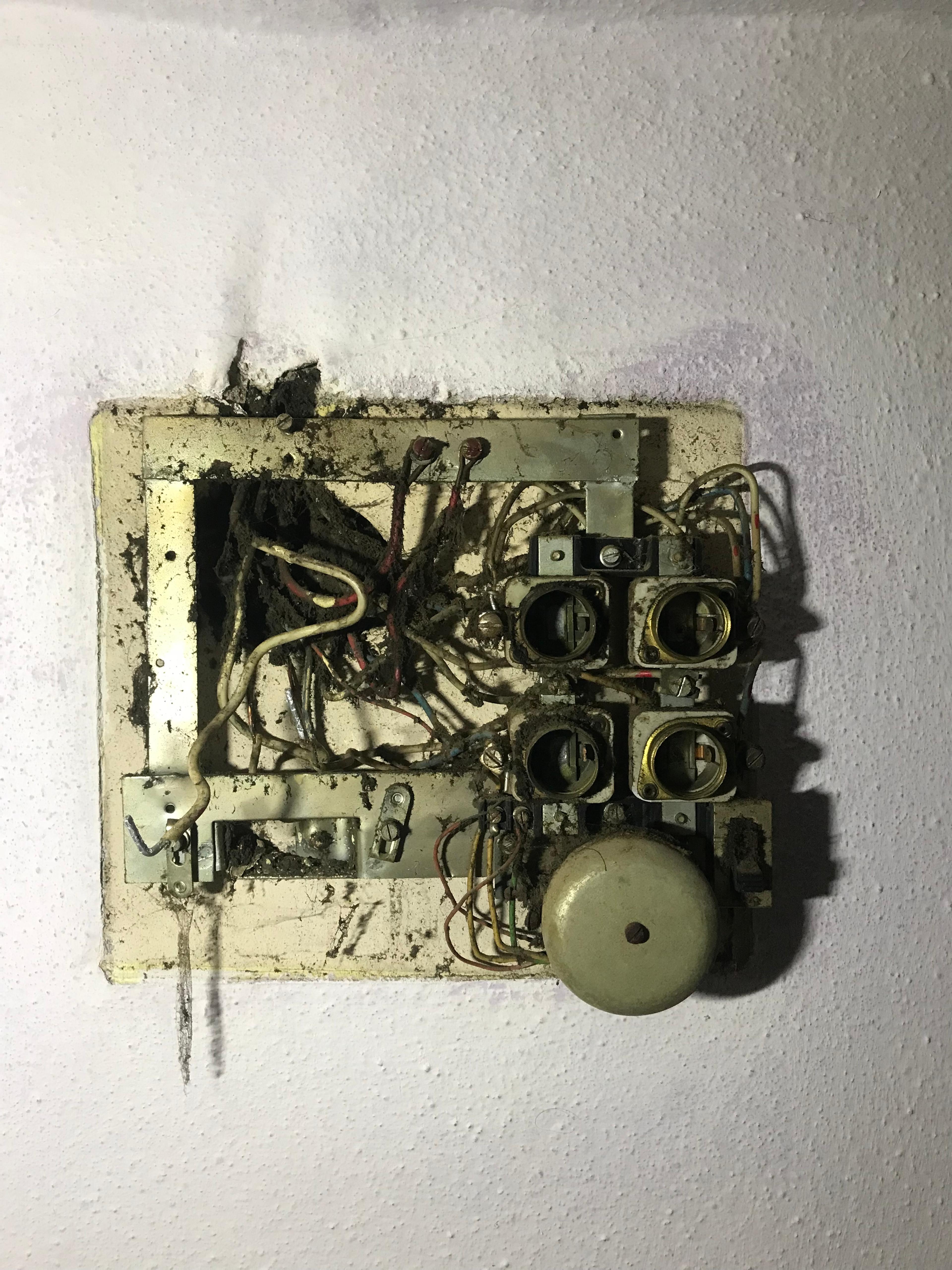 0c1517f2-181e-4d48-b3c1-77e021c6ee43.jpeg