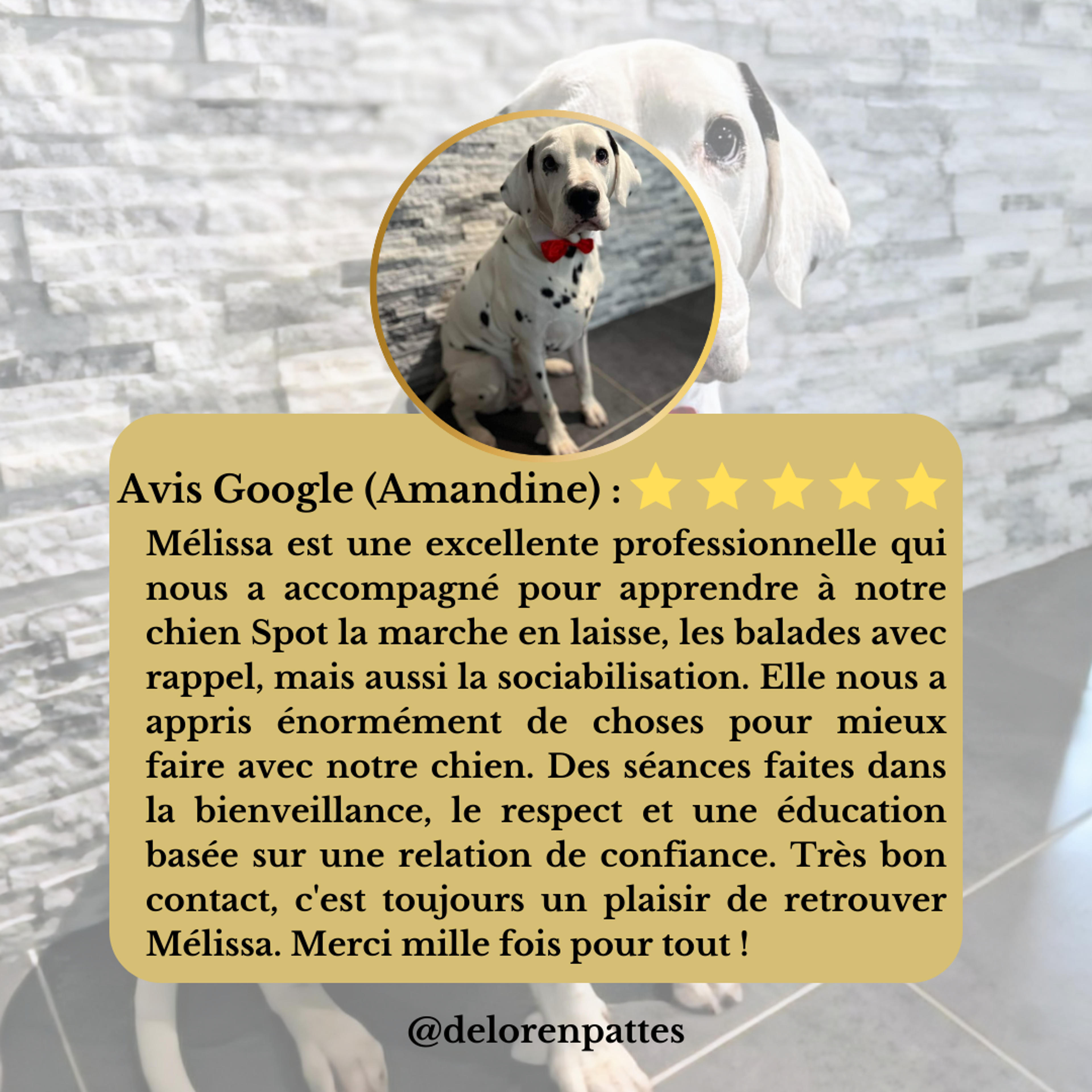 0ccada79-4fb9-4be7-9e52-76f9e4304e86.png