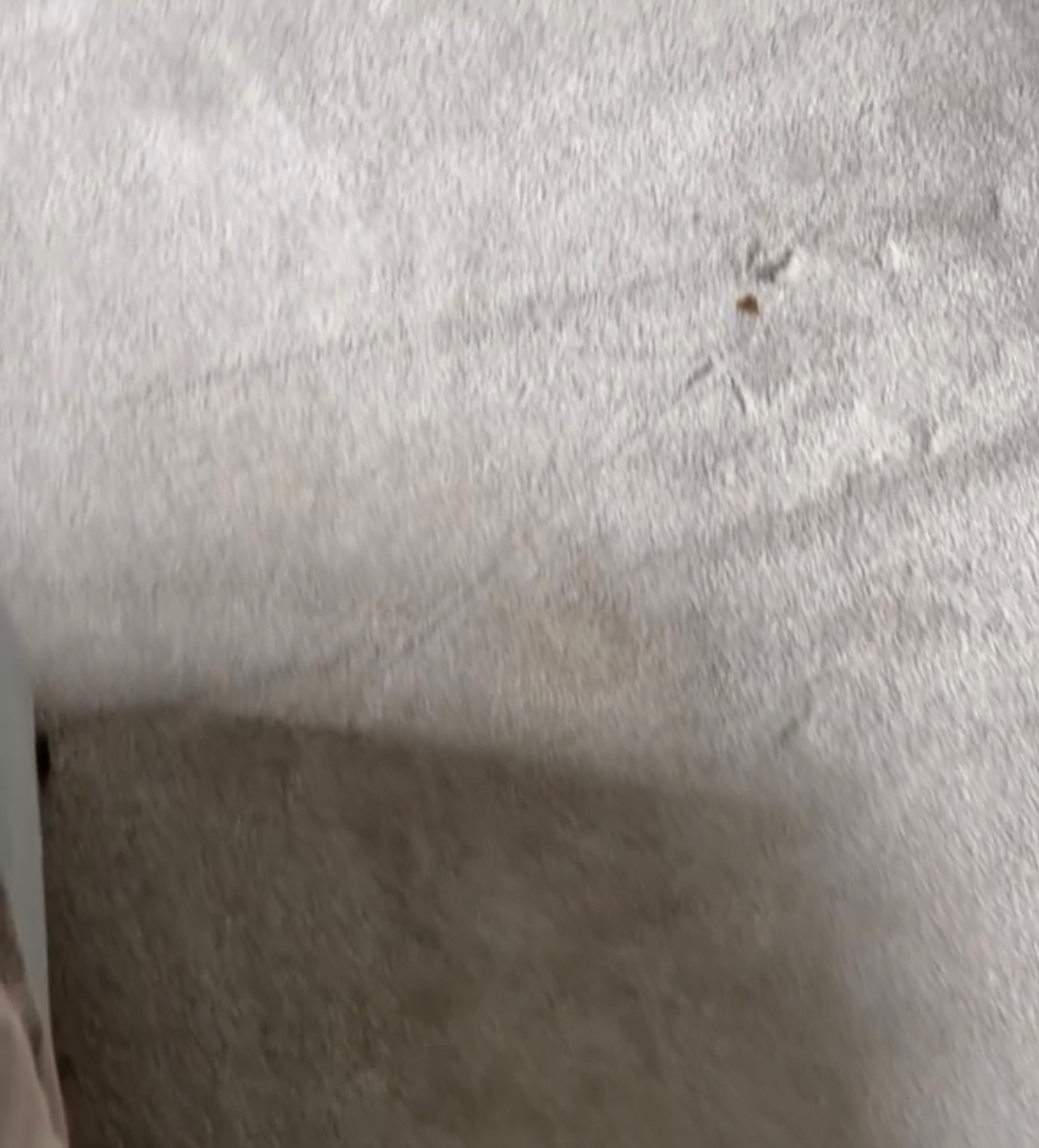 0d547832-a970-4af3-b849-4303ea73d220.jpeg
