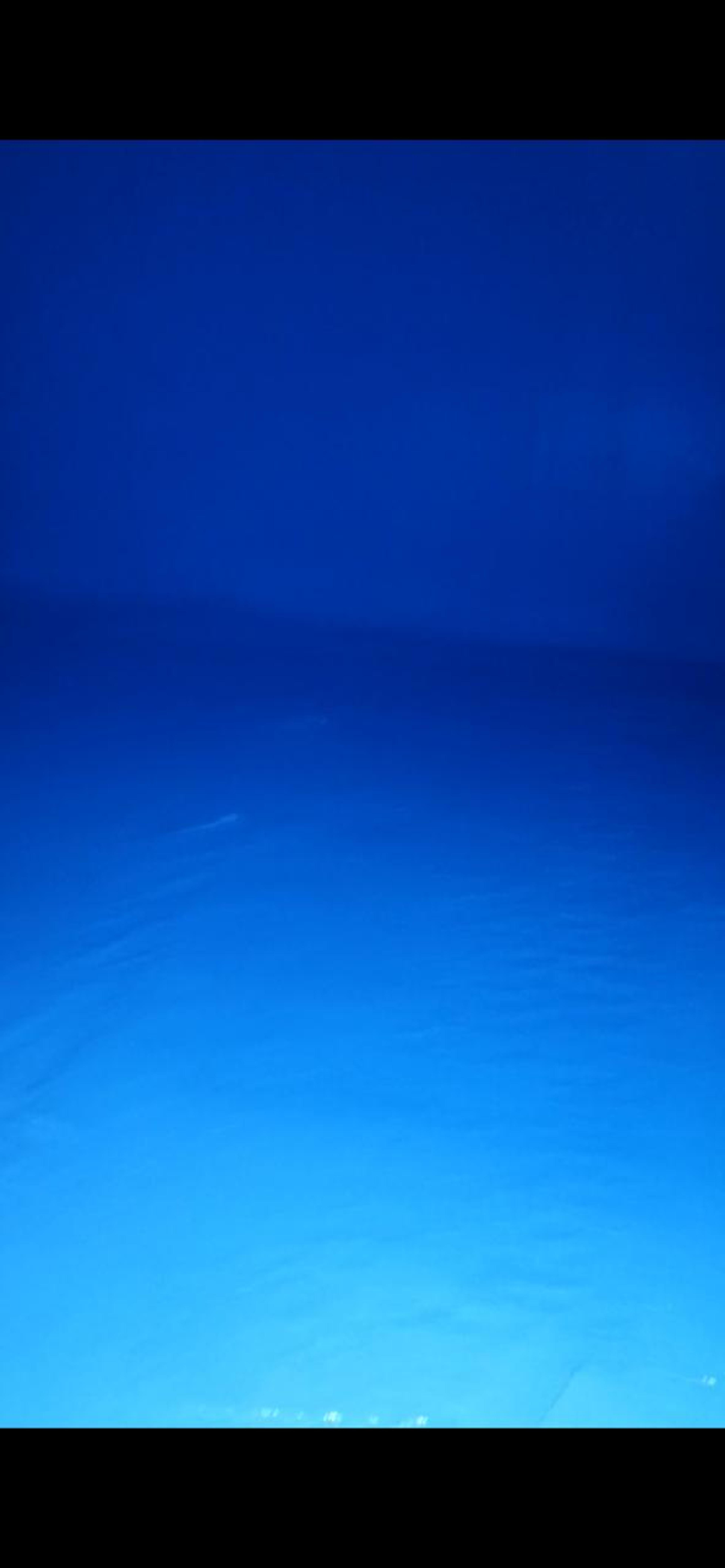 0d712aff-a782-4399-9b98-5bda2ec273f3.jpeg