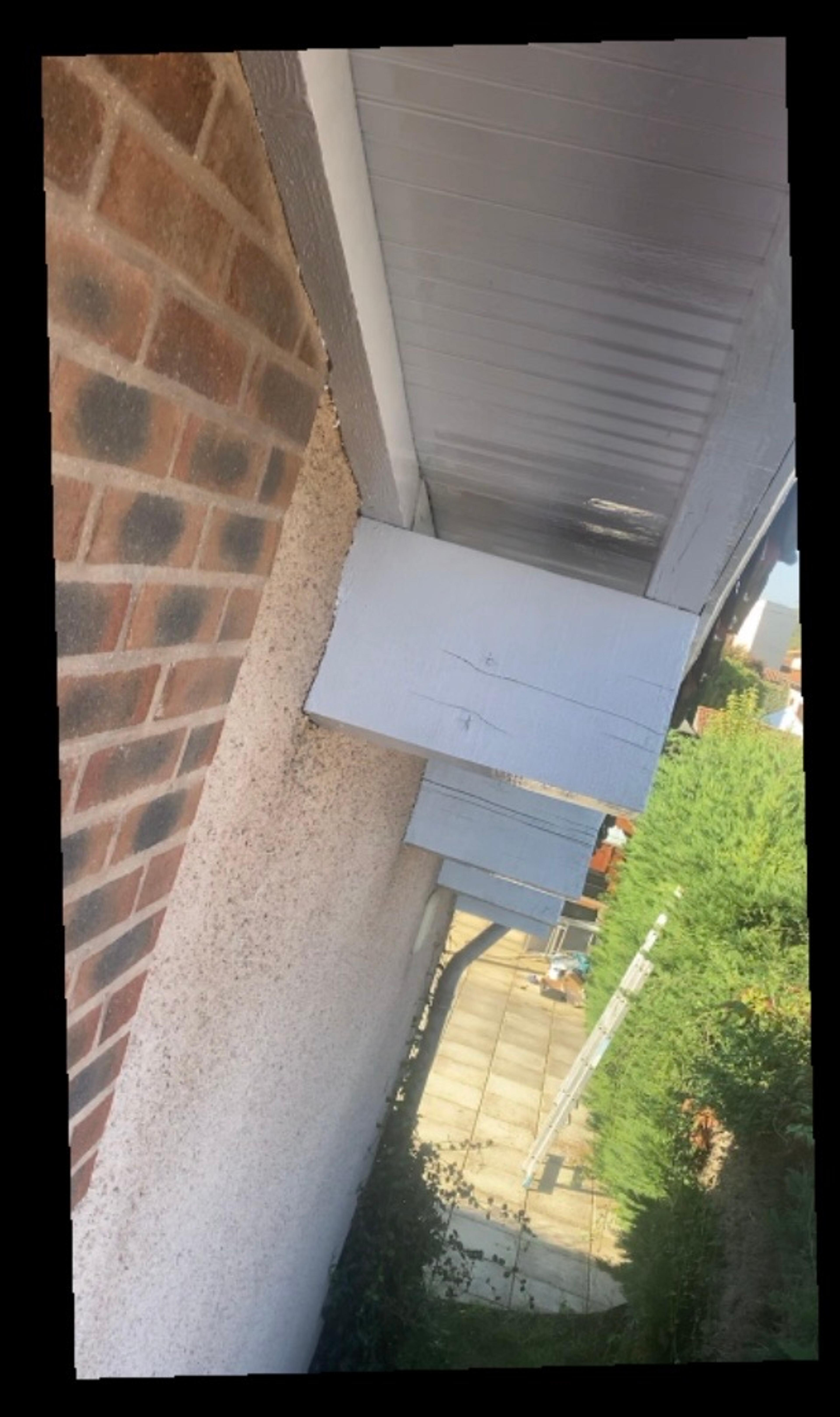 0d85bbea-68ed-4a42-bb63-a991acbbcaec.jpeg
